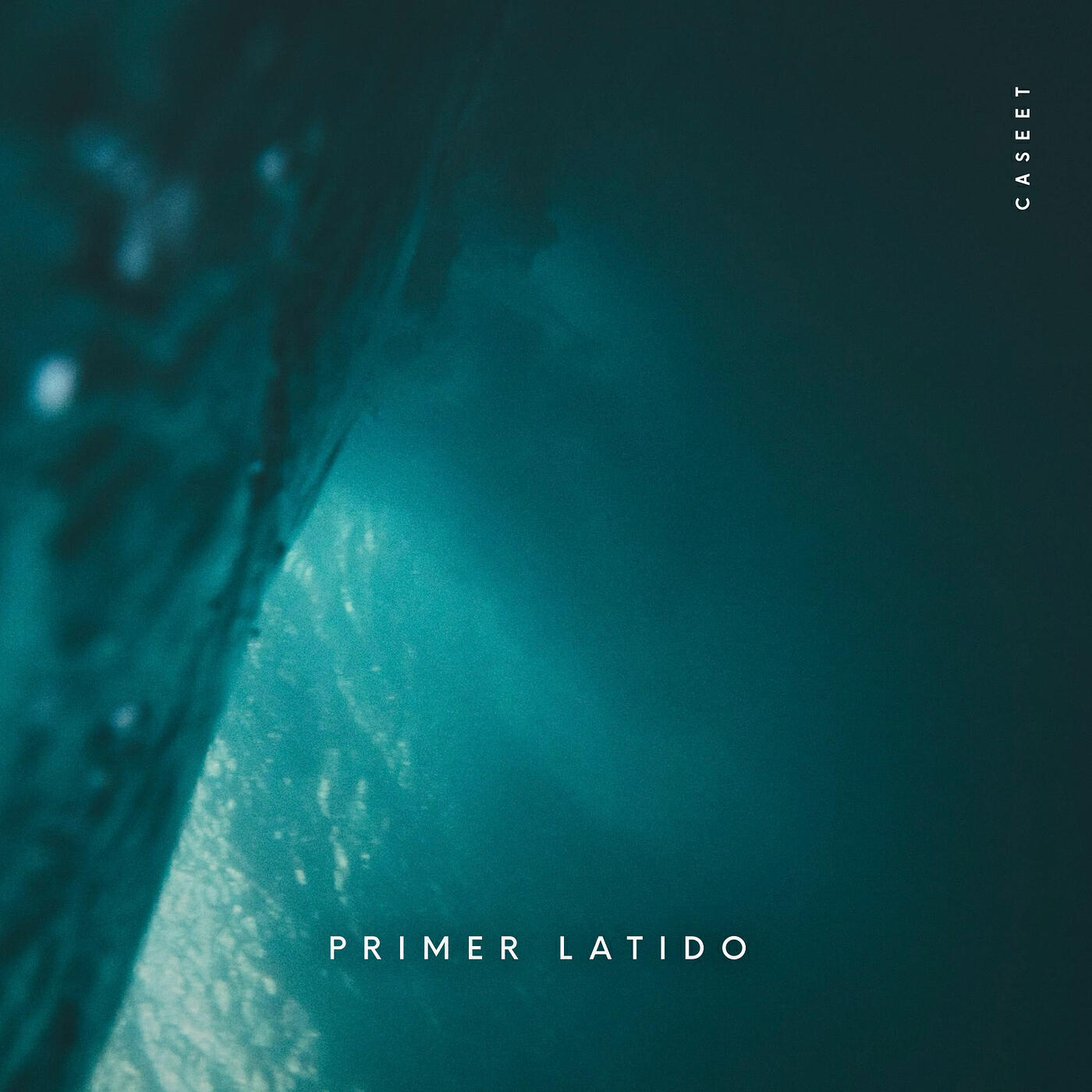 Релиз Primer Latido