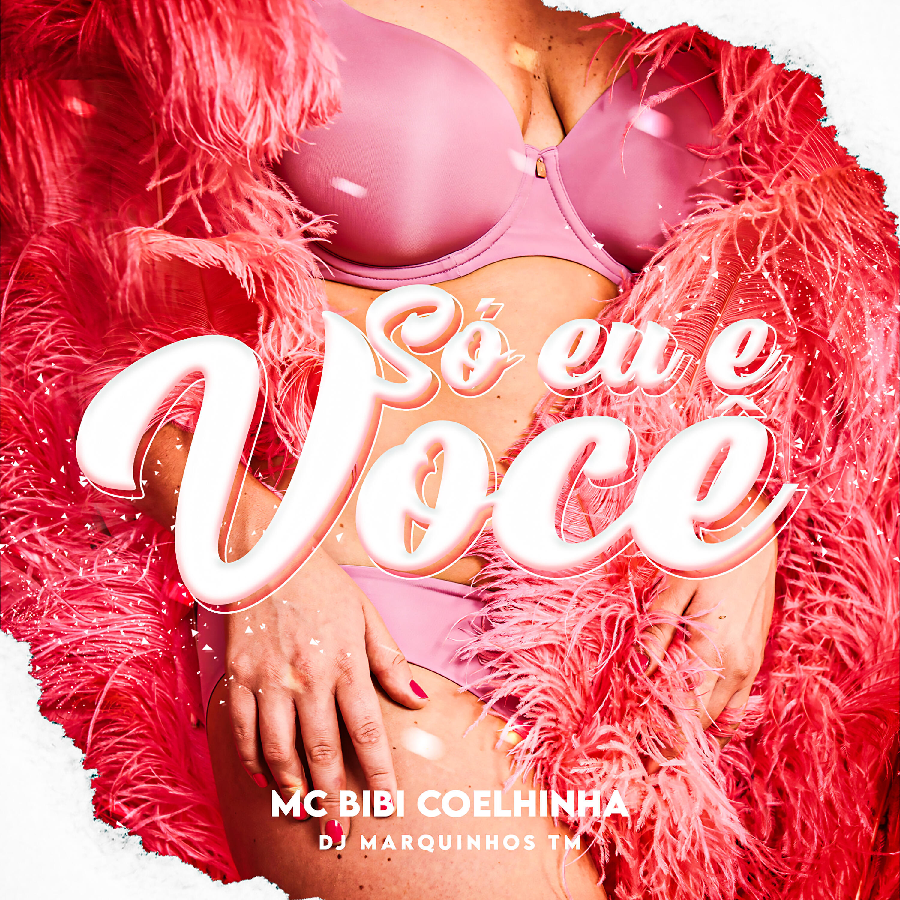 Скачать песню MC Bibi Coelhinha, Dj Marquinhos tm - Só Eu E Voce бесплатно в MP3 для Android и iOS