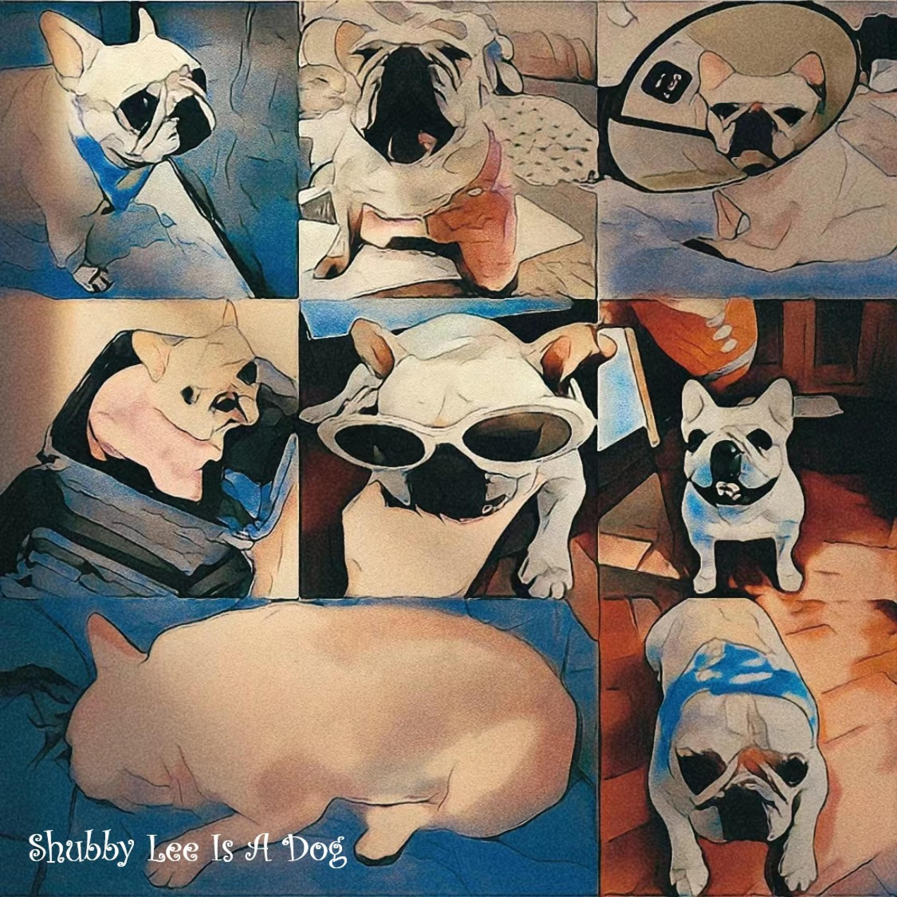 Релиз 李淑碧是真的狗