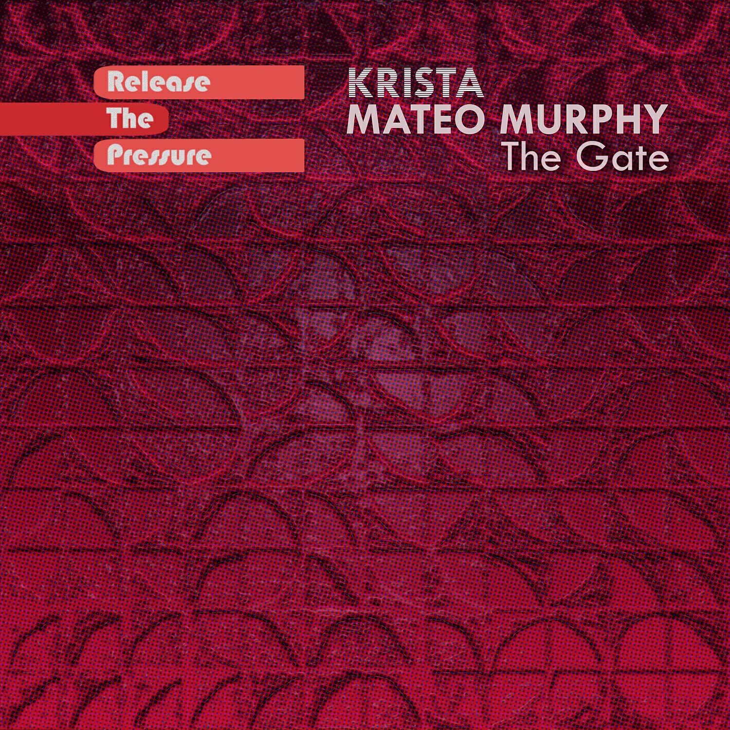 Скачать песню Krista, Mateo Murphy - The Gate (Original) бесплатно в MP3 для Android и iOS