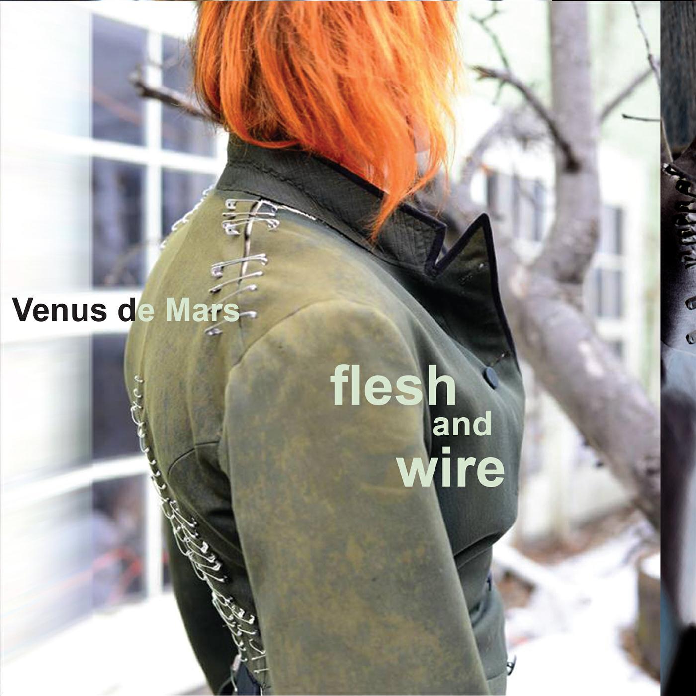 Релиз Flesh and Wire