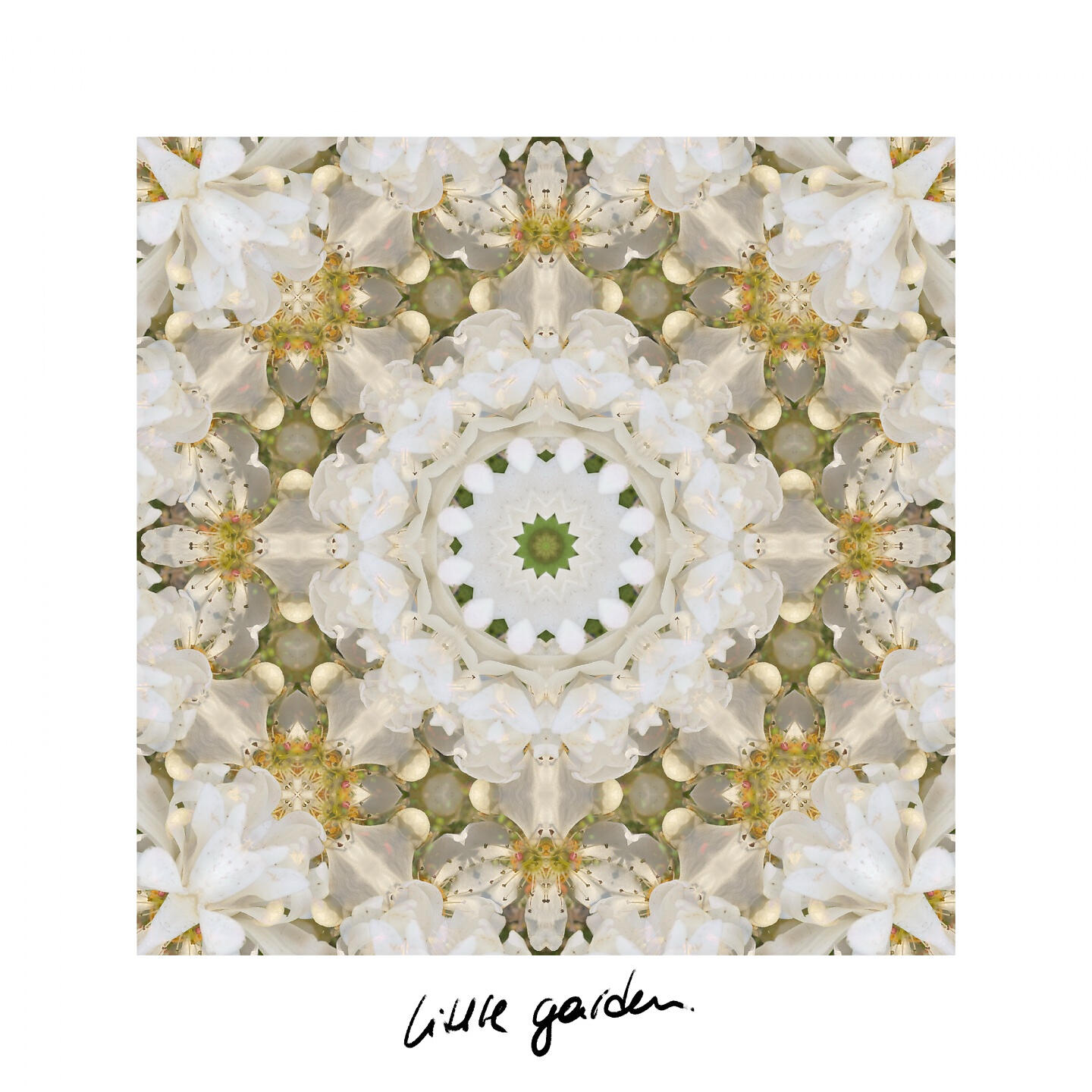 Релиз Little Garden