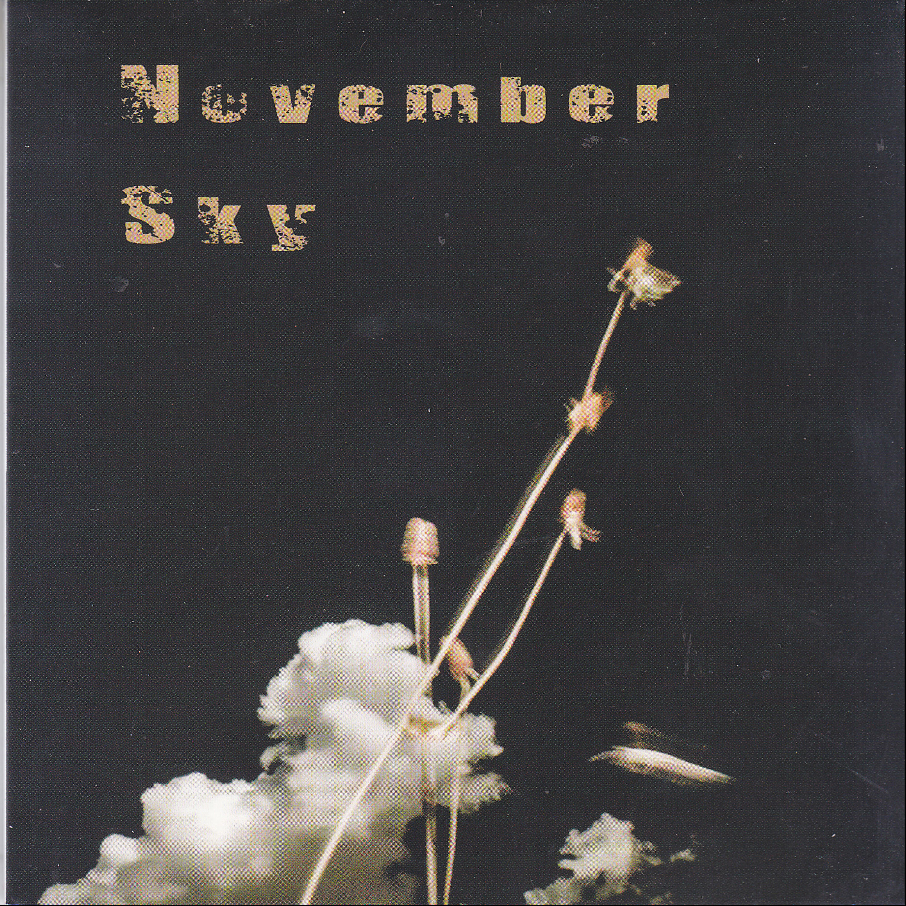 Релиз November Sky