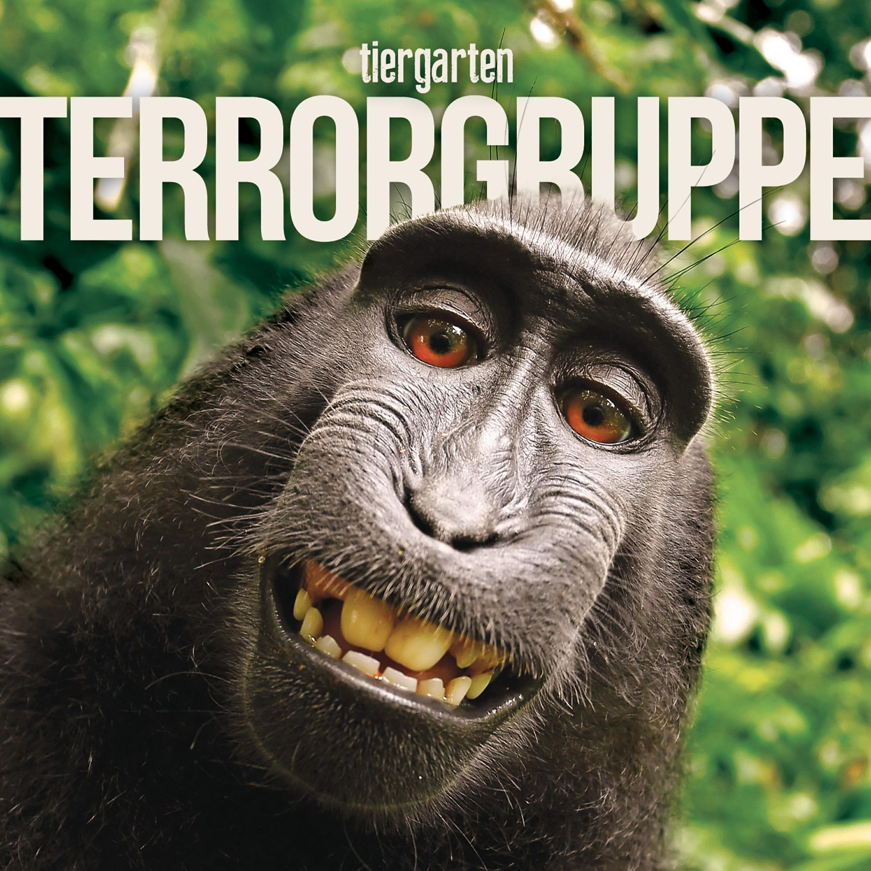 Релиз Tiergarten