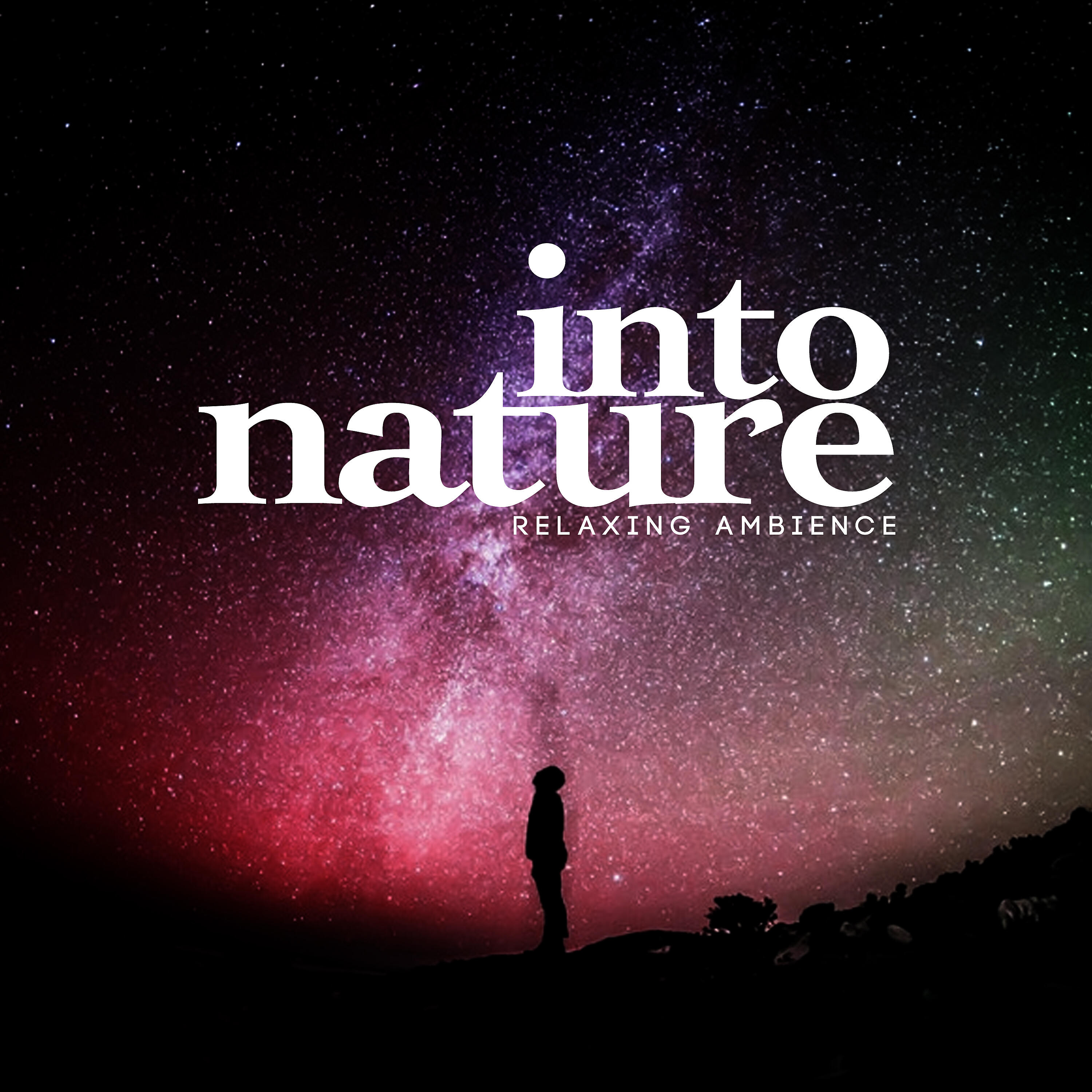 Релиз Into Nature: Relaxing Ambiance