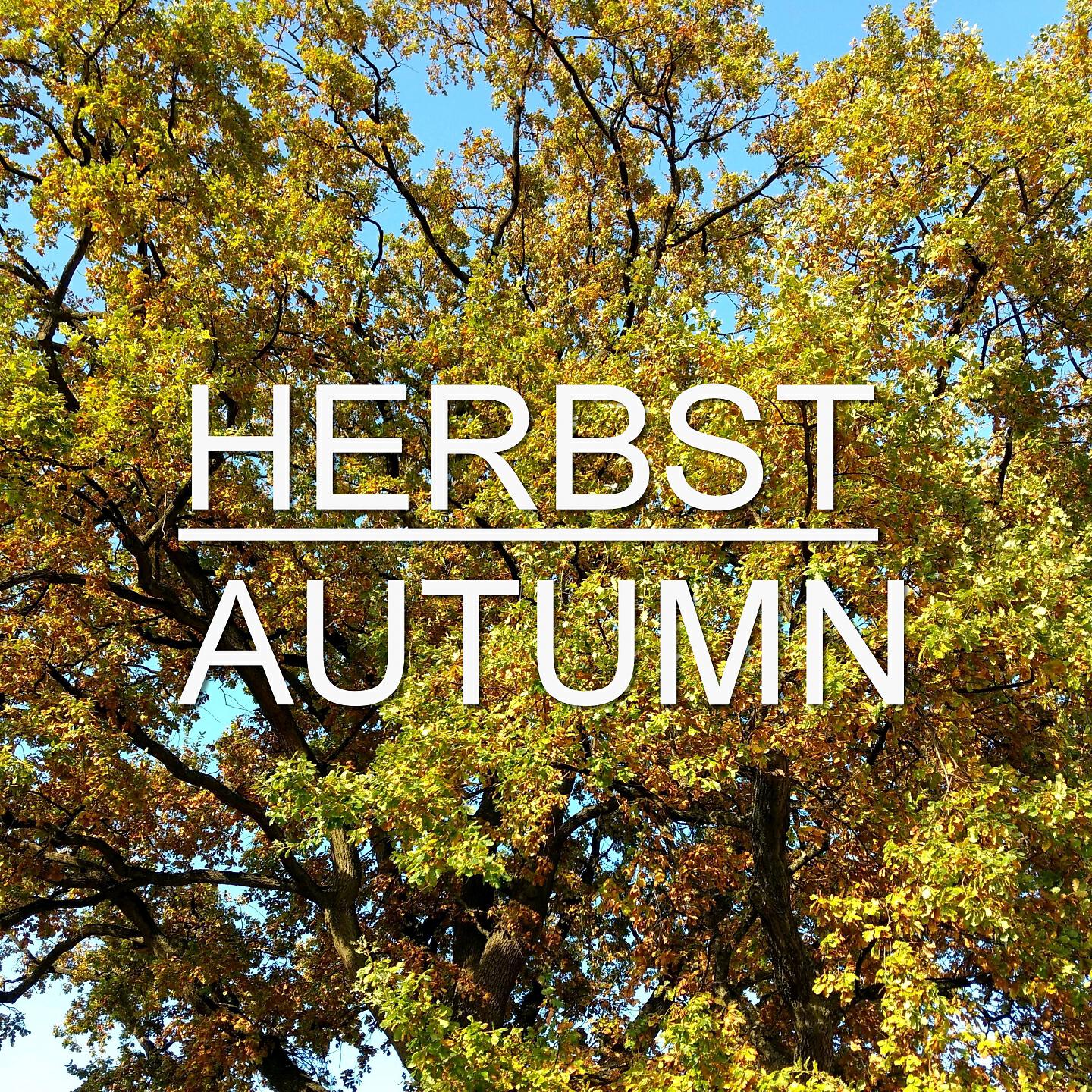 Релиз Herbst Autumn