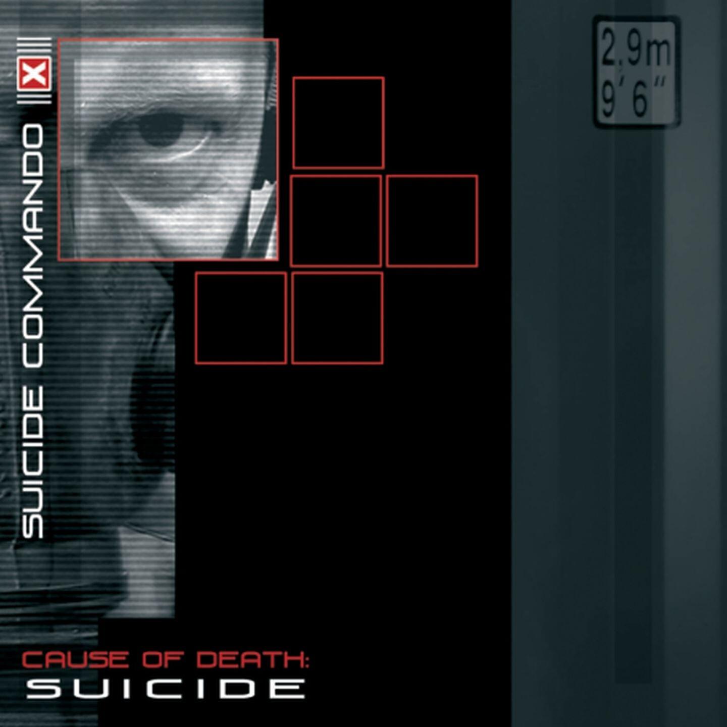 Релиз Cause of Death: Suicide
