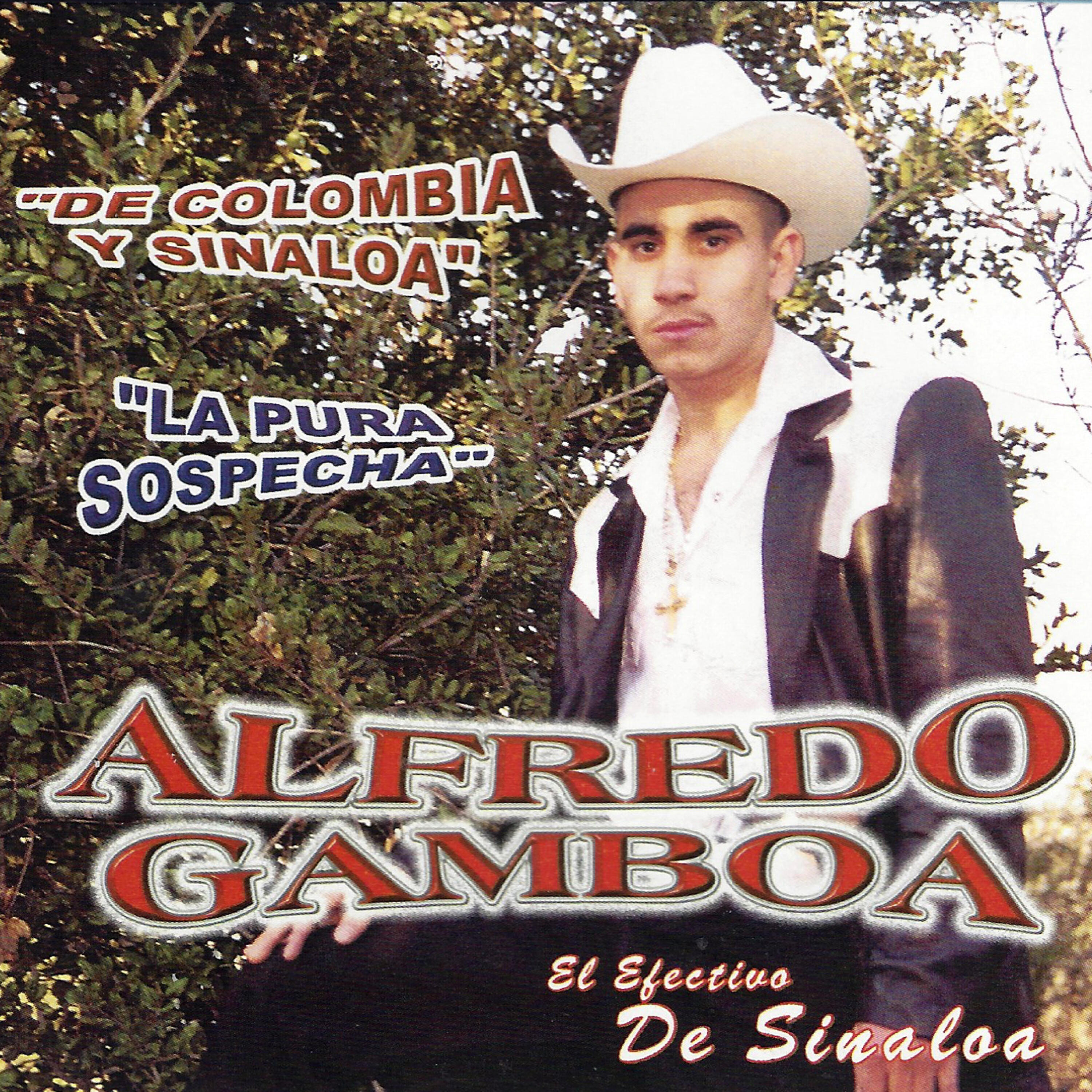 Alfredo Gamboa