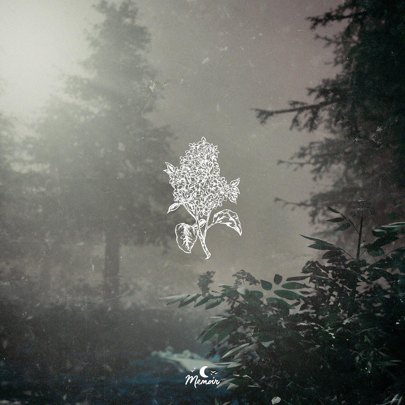 Релиз Lilac