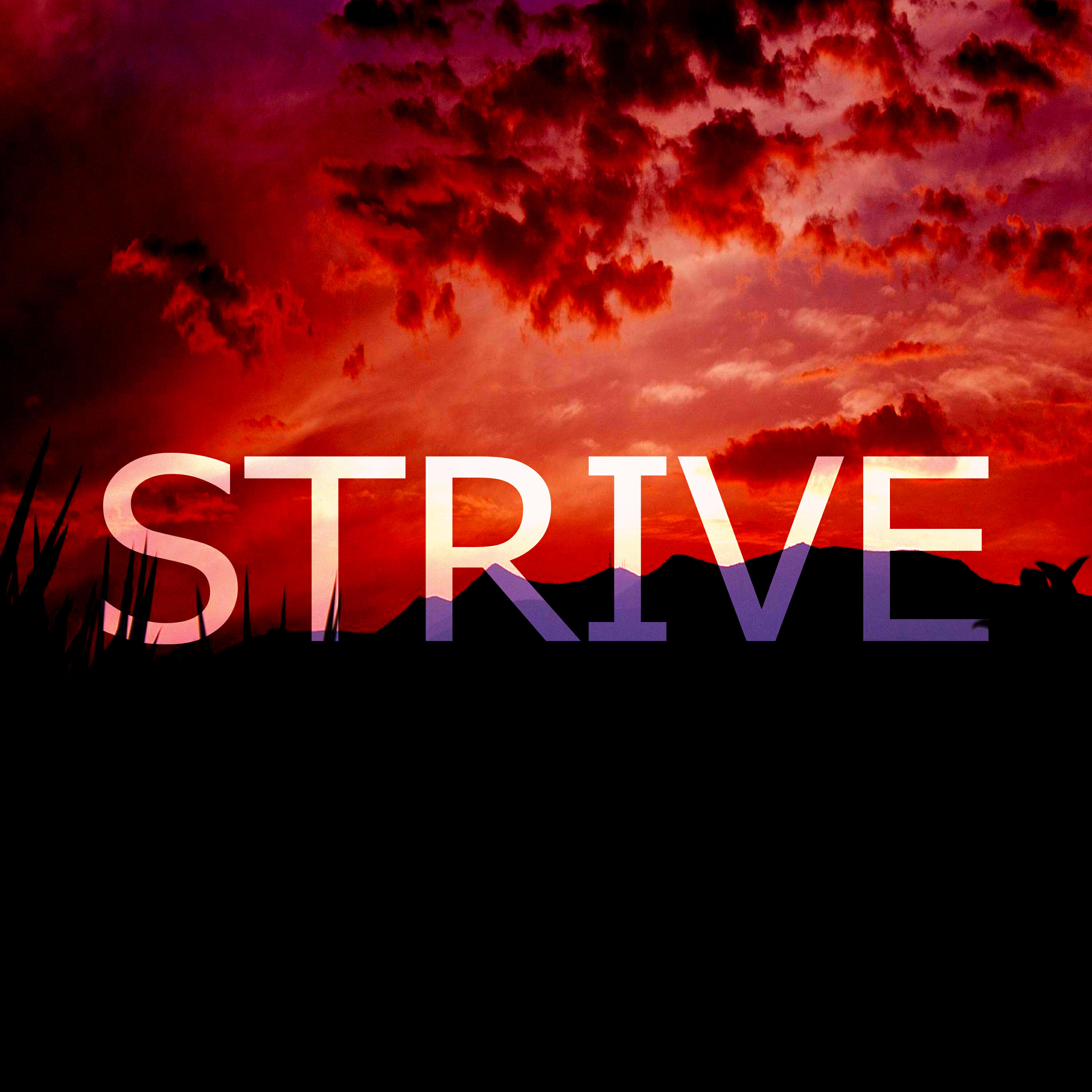 Релиз Strive