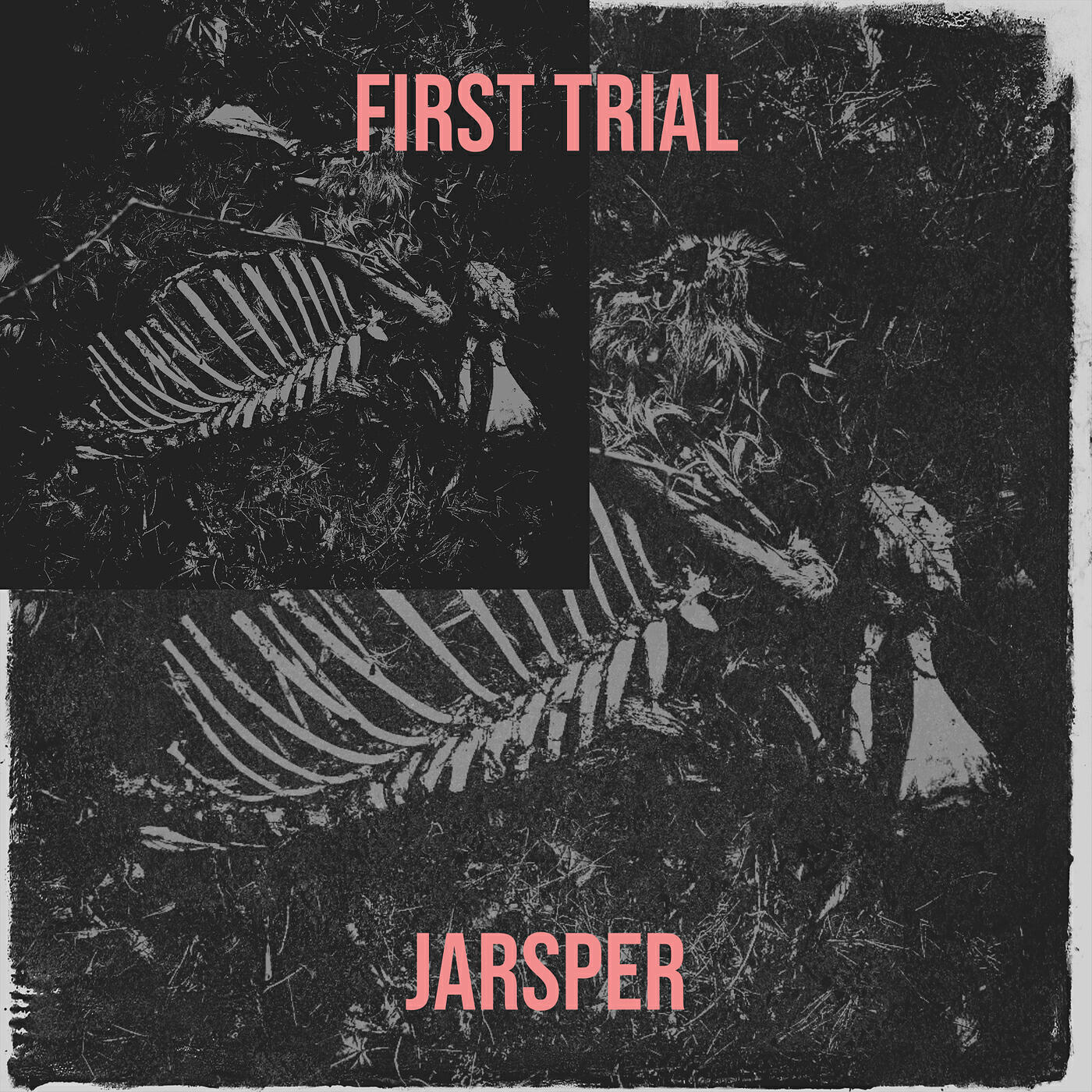 Jarsper