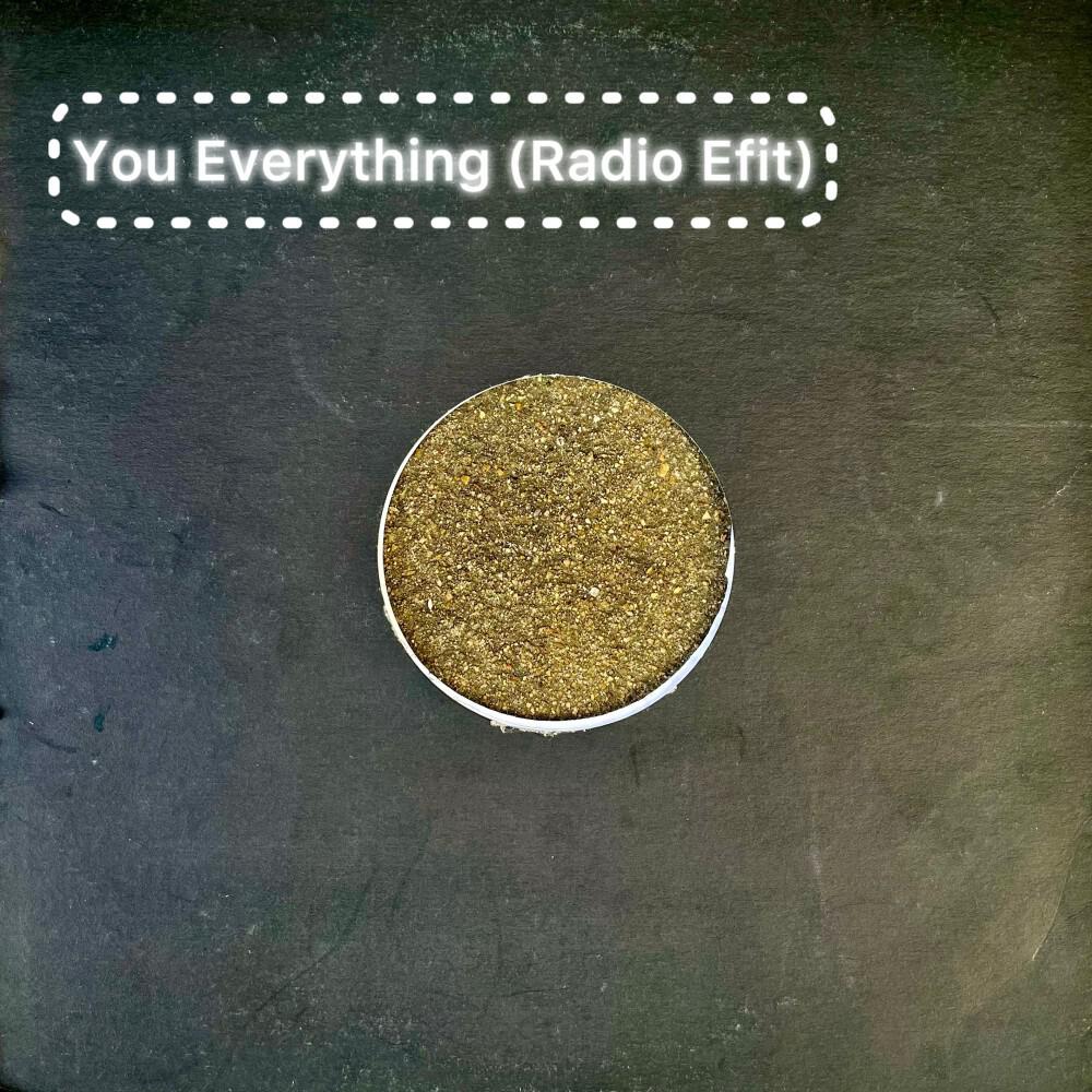 Релиз You Everything (Radio Edit)