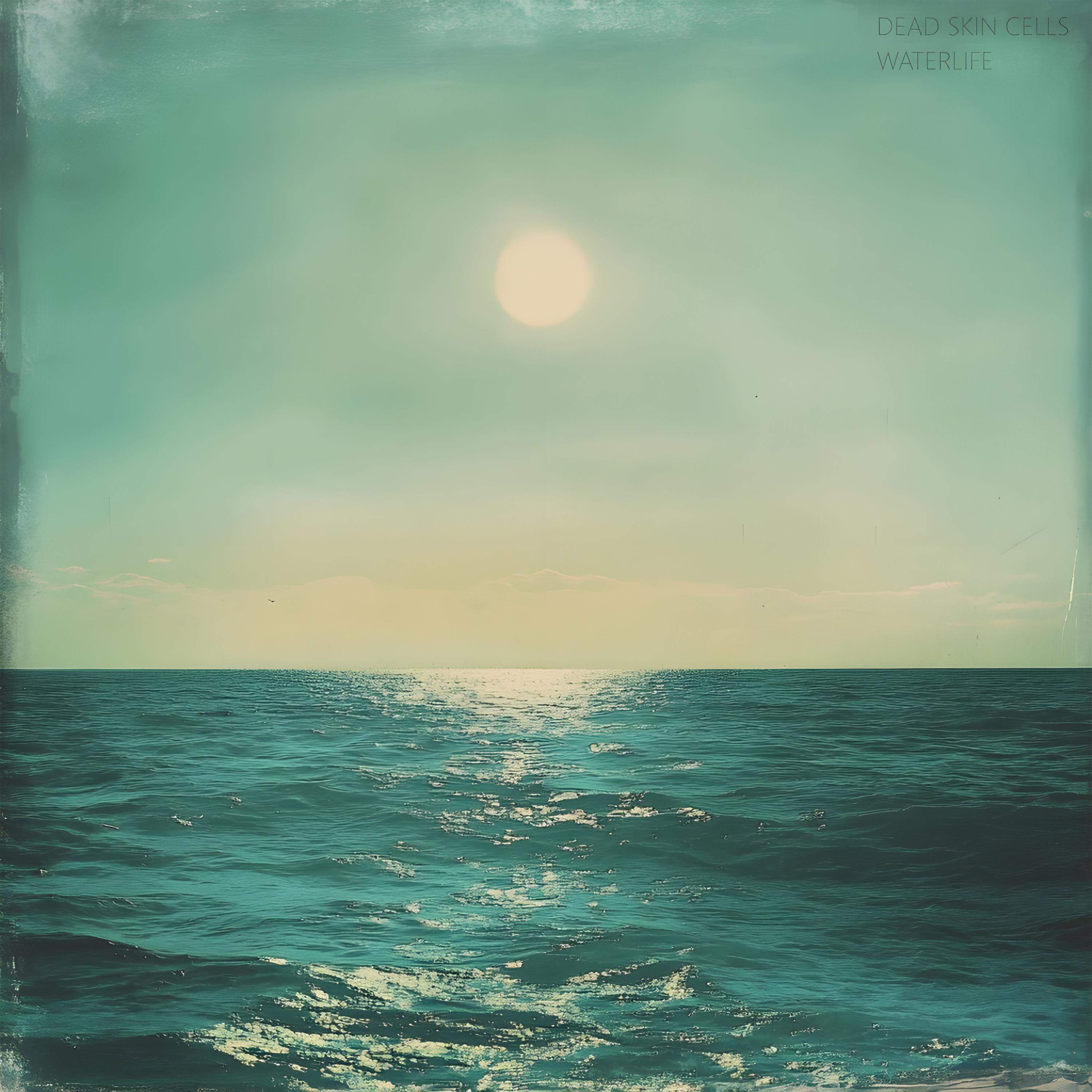 Релиз Waterlife