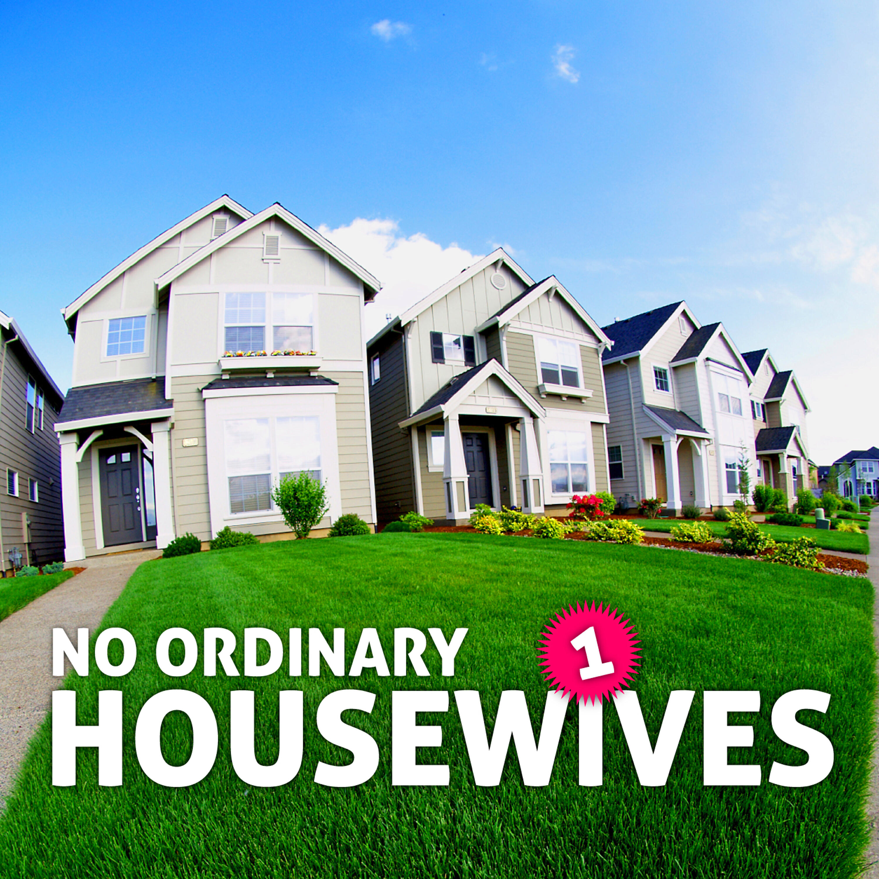 Релиз No Ordinary Housewives Vol. 1