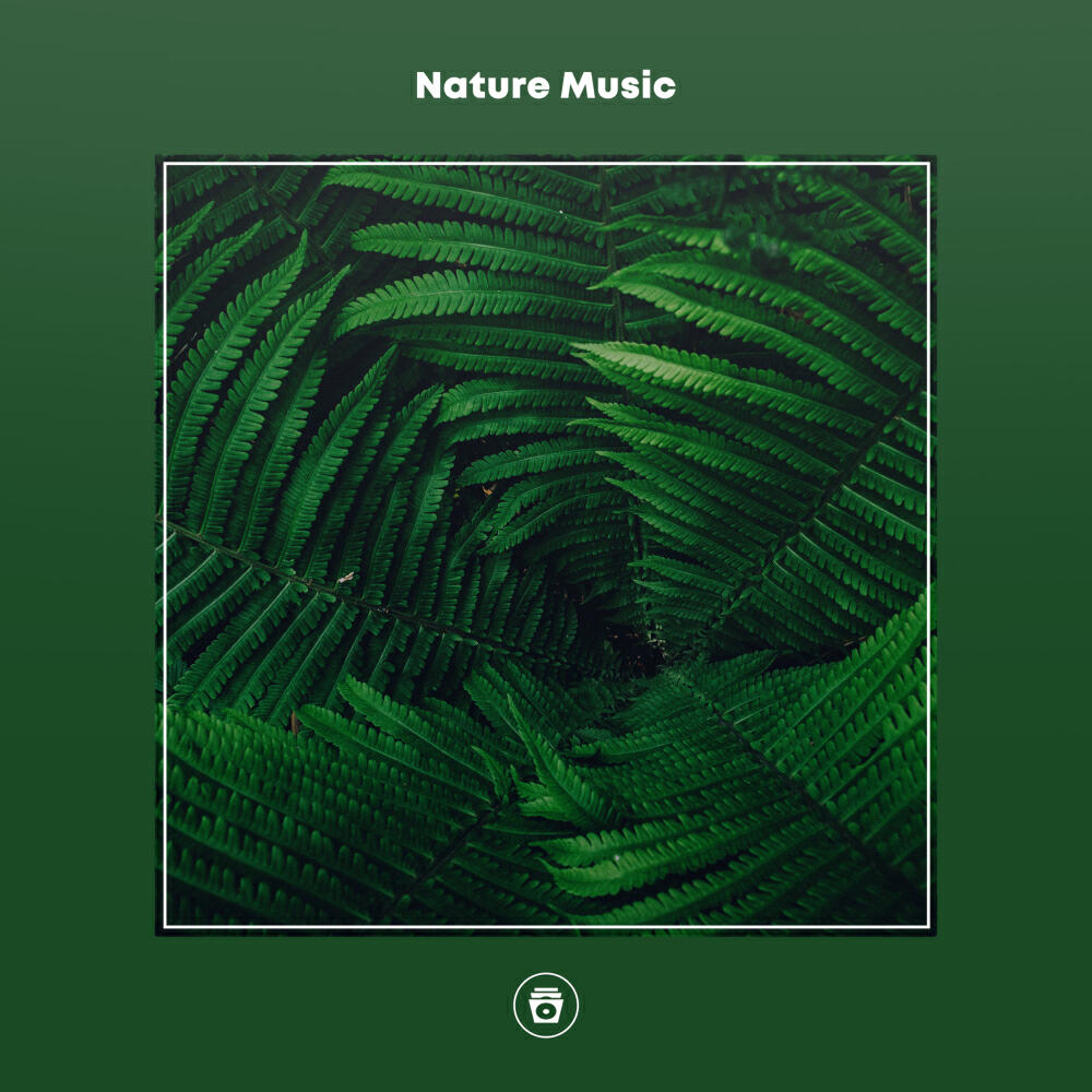 Релиз Nature Music
