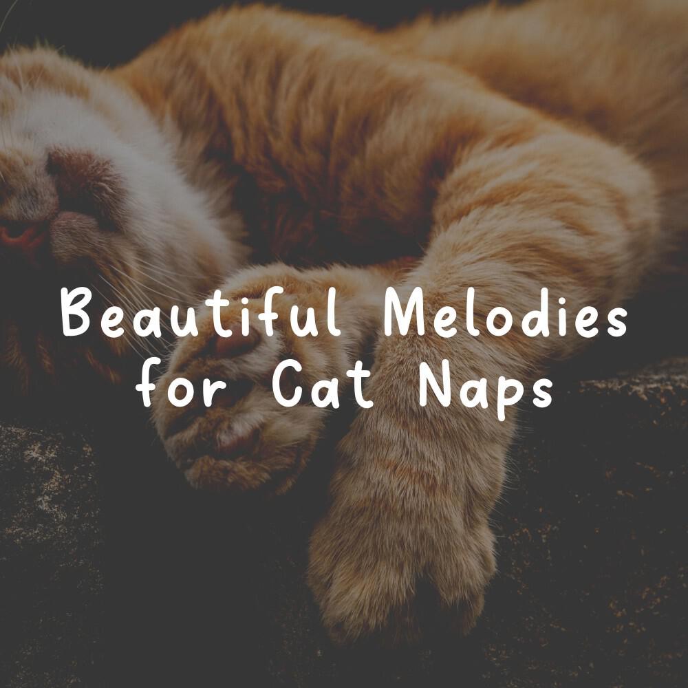 Релиз Beautiful Melodies for Cat Naps
