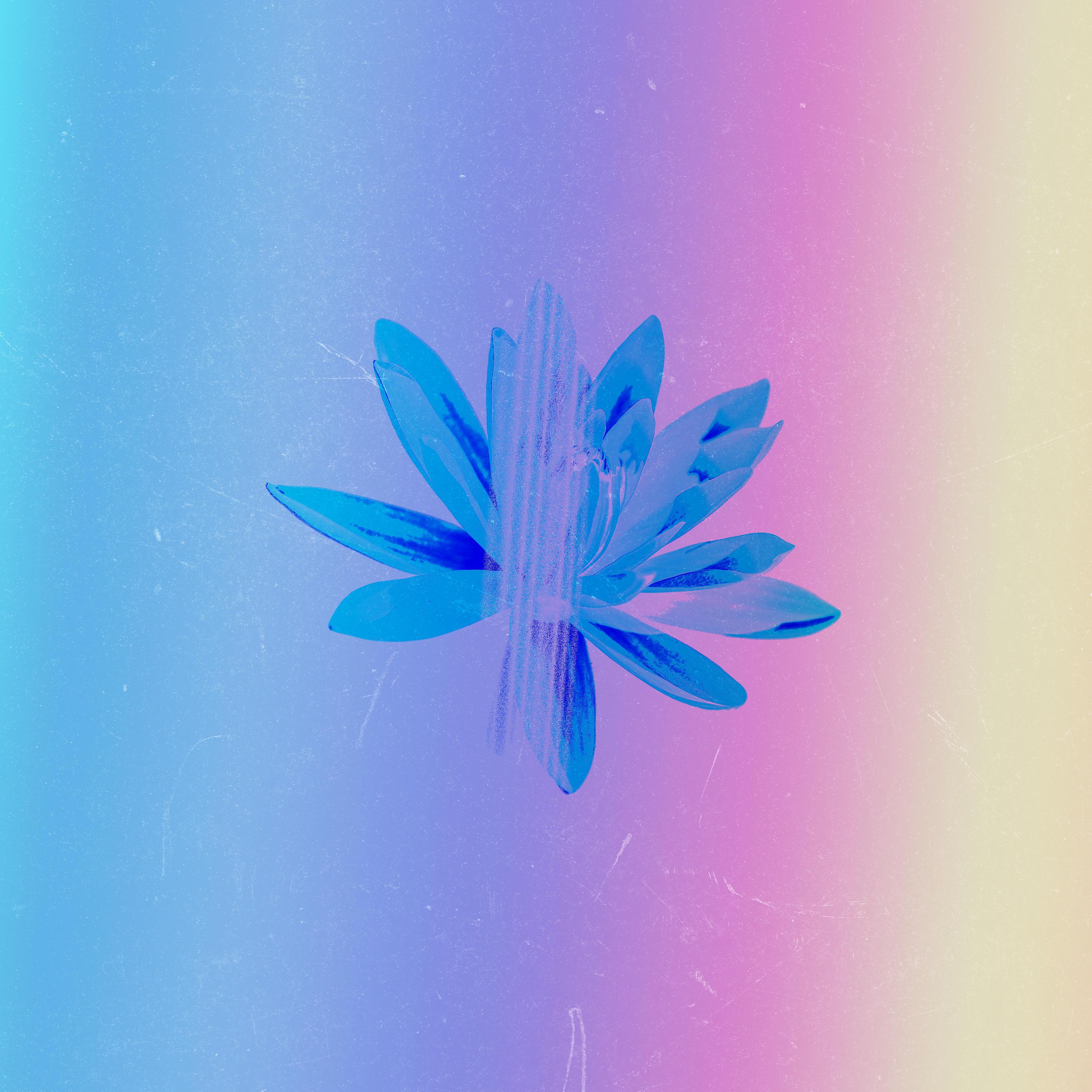 Релиз Monarch / Europa