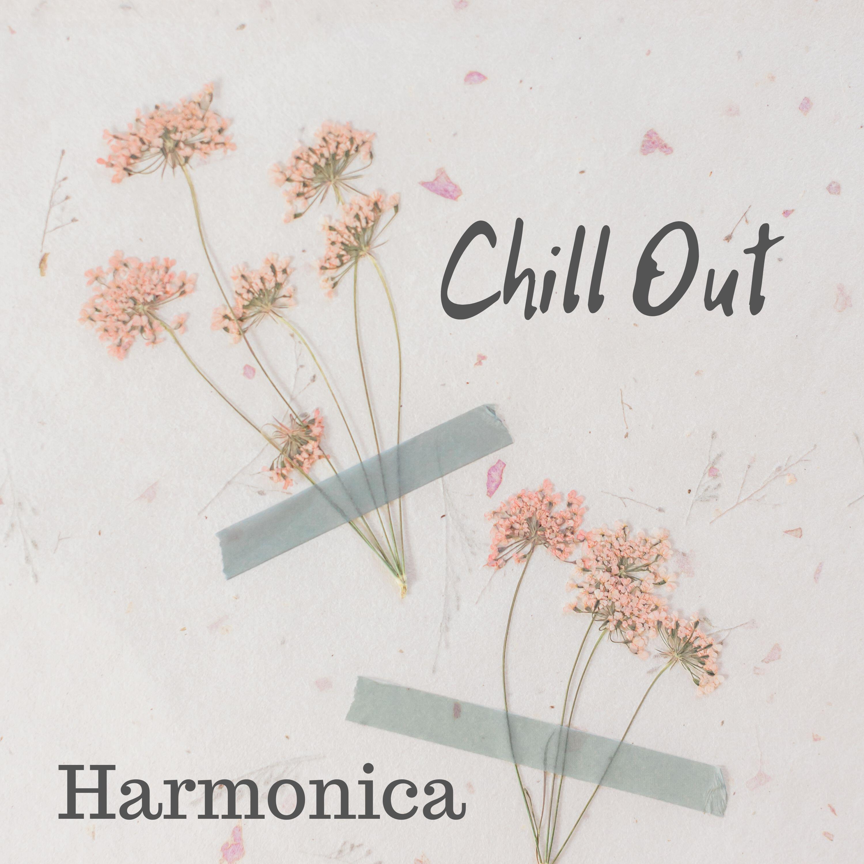 Релиз Chill Out