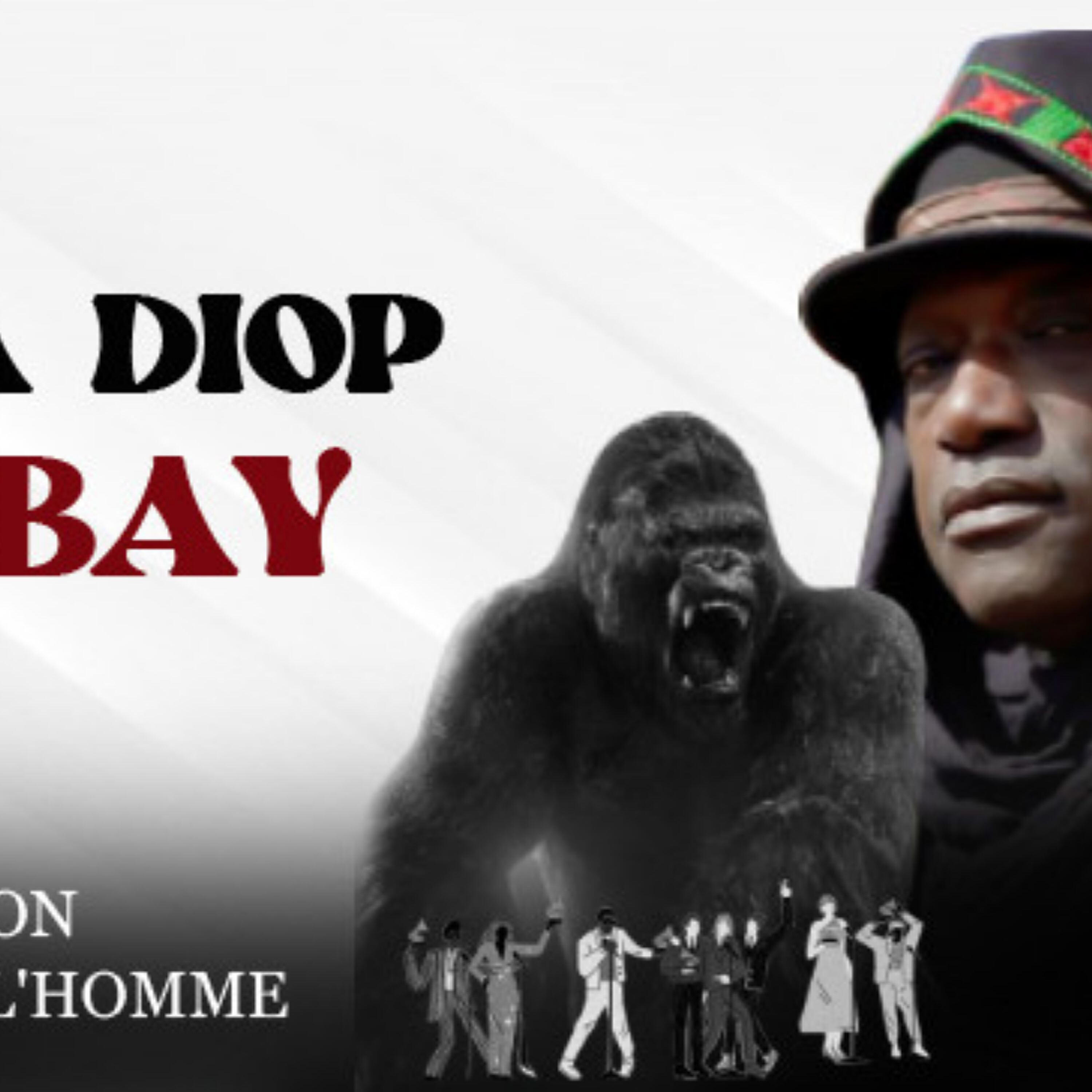 Релиз GOLO BAY