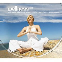 Wellness все песни в mp3