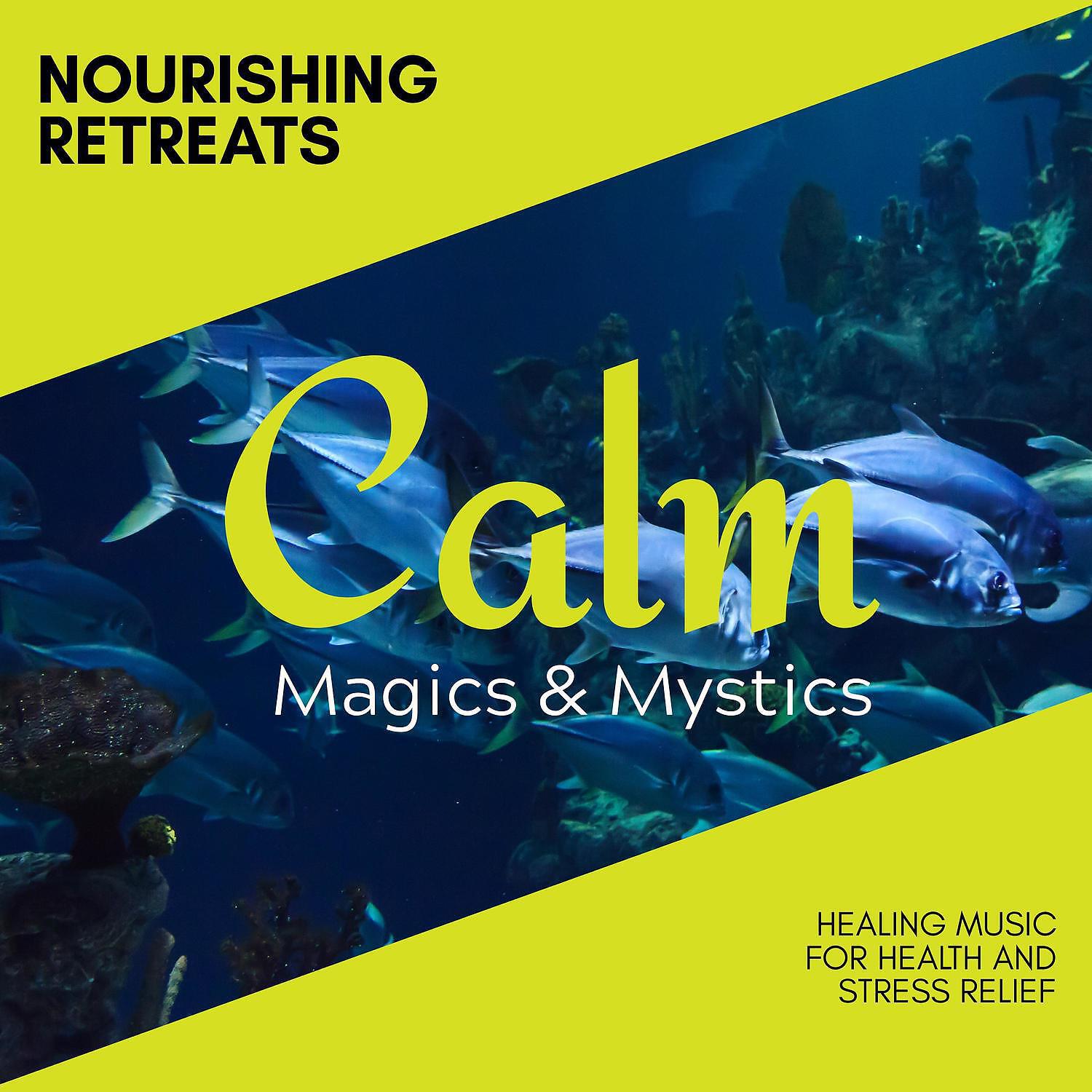 Релиз Nourishing Retreats - Healing Music for Health and Stress Relief
