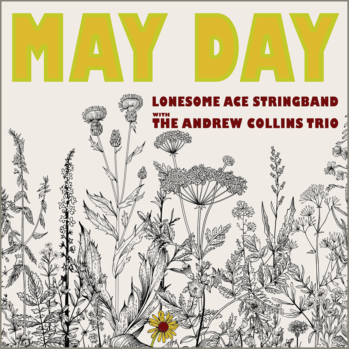 the andrew collins trio