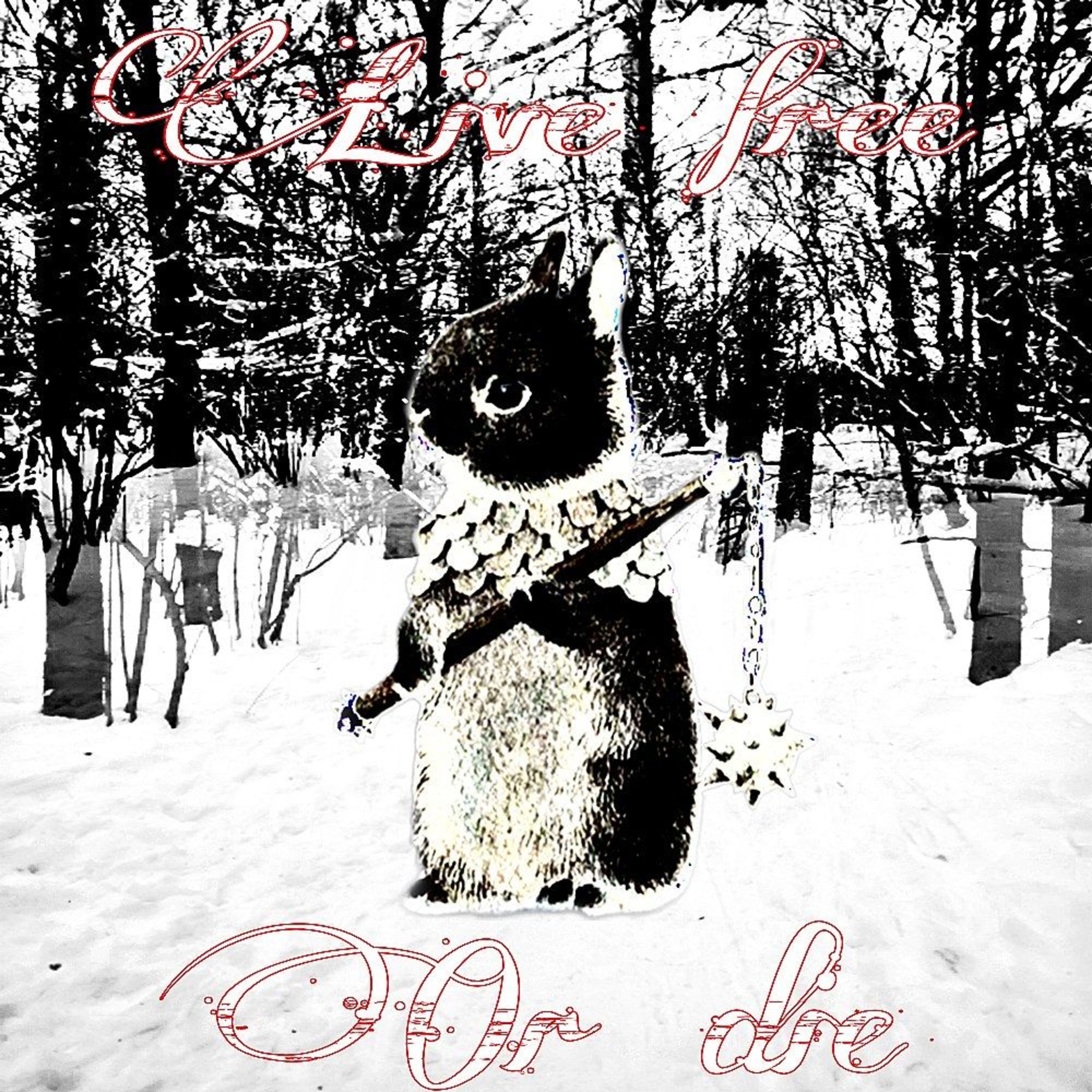 Релиз Live Free or Die