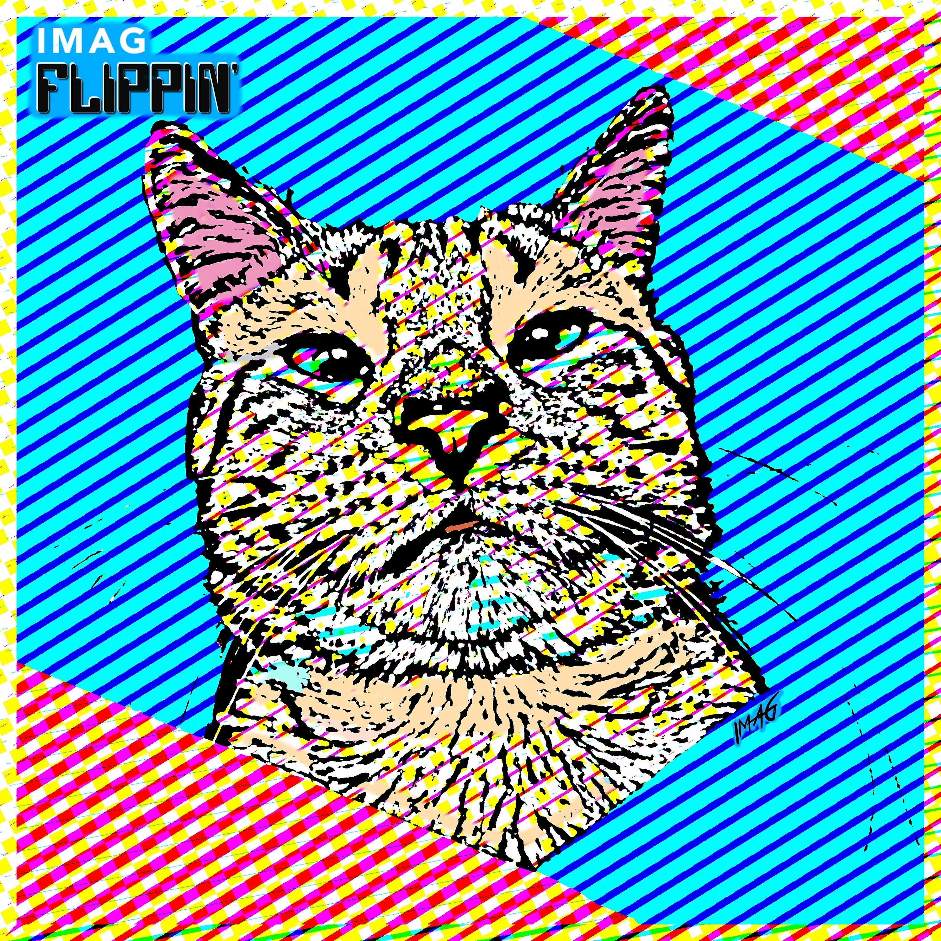 Релиз FLIPPIN'