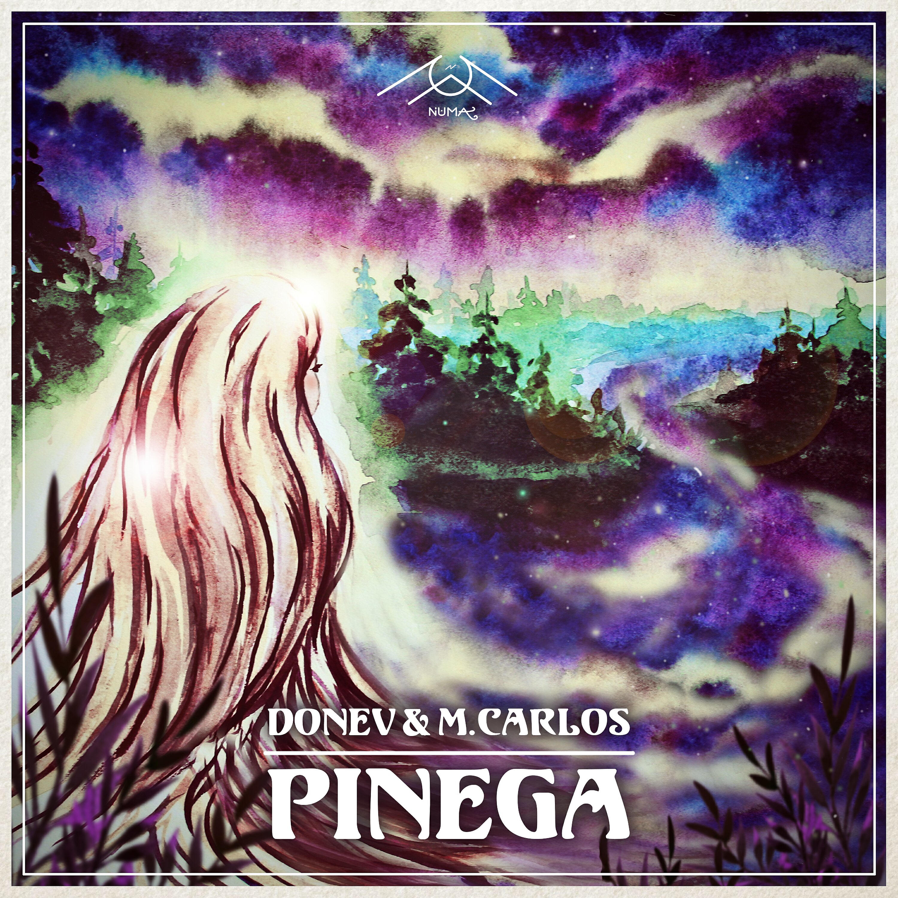 Релиз Pinega