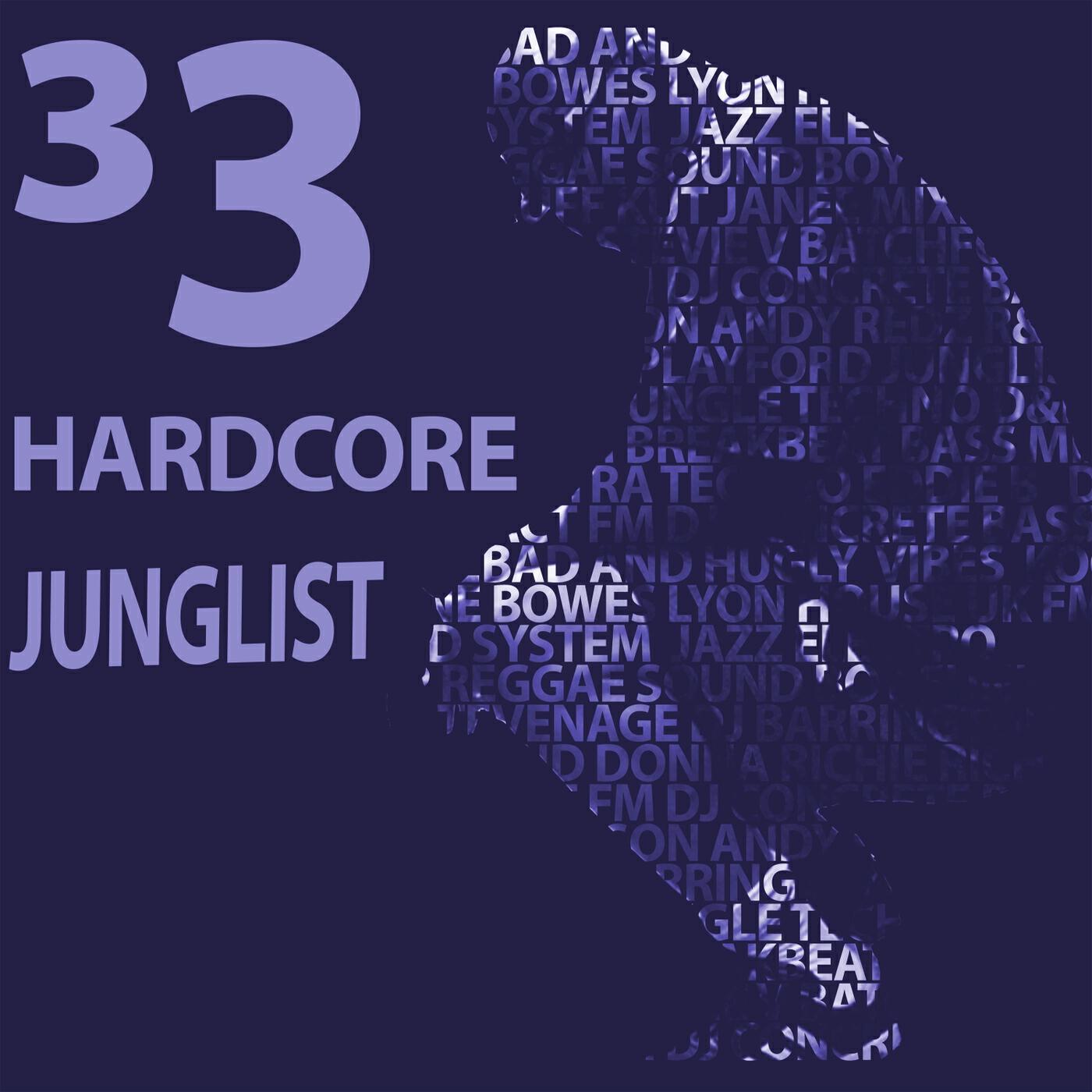Релиз 33 Hardcore Junglist