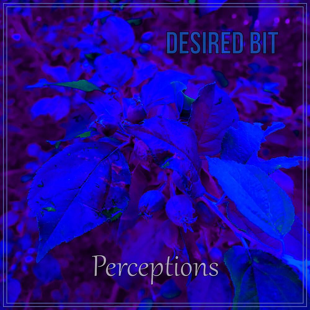 Релиз Perceptions