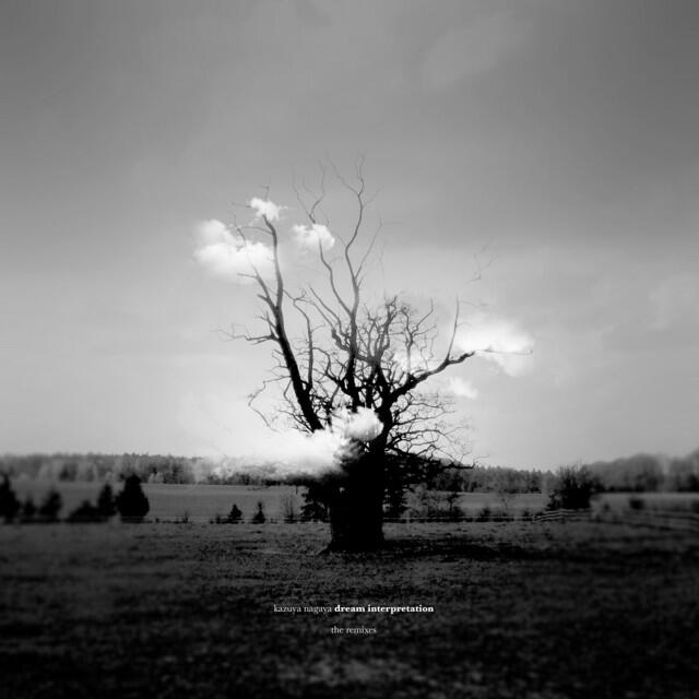 Релиз Wolfman's Dream (Yotam Avni Remix)