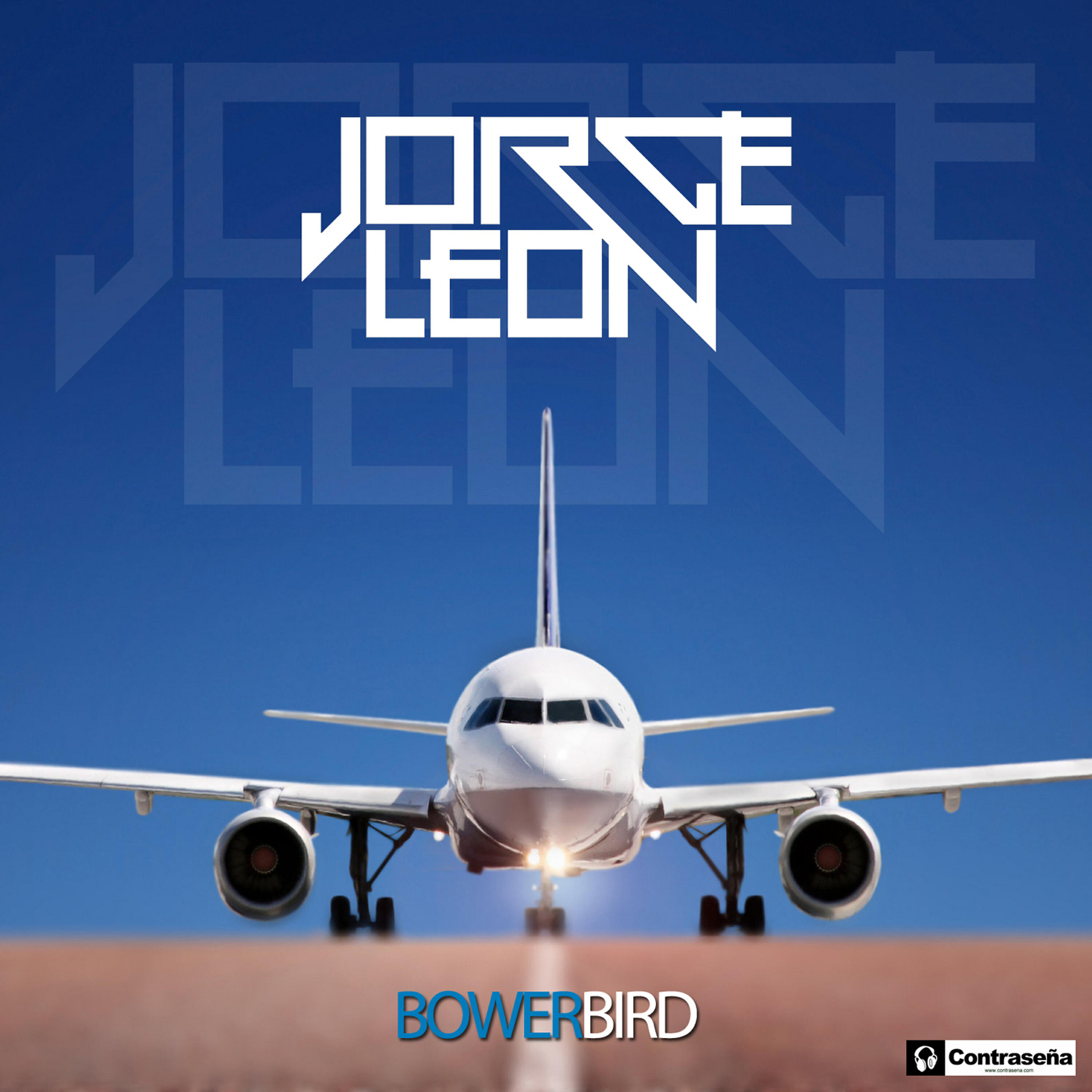 Релиз Bowerbird