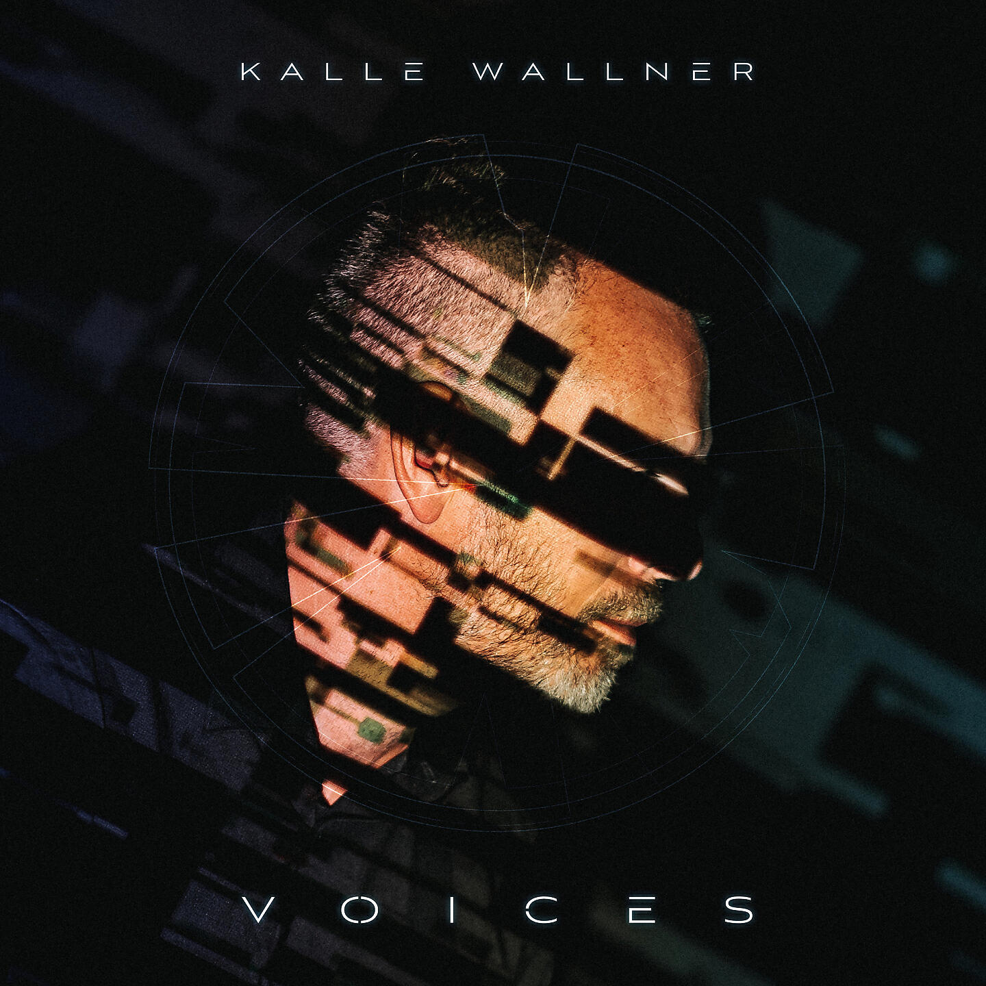Karlheinz Wallner