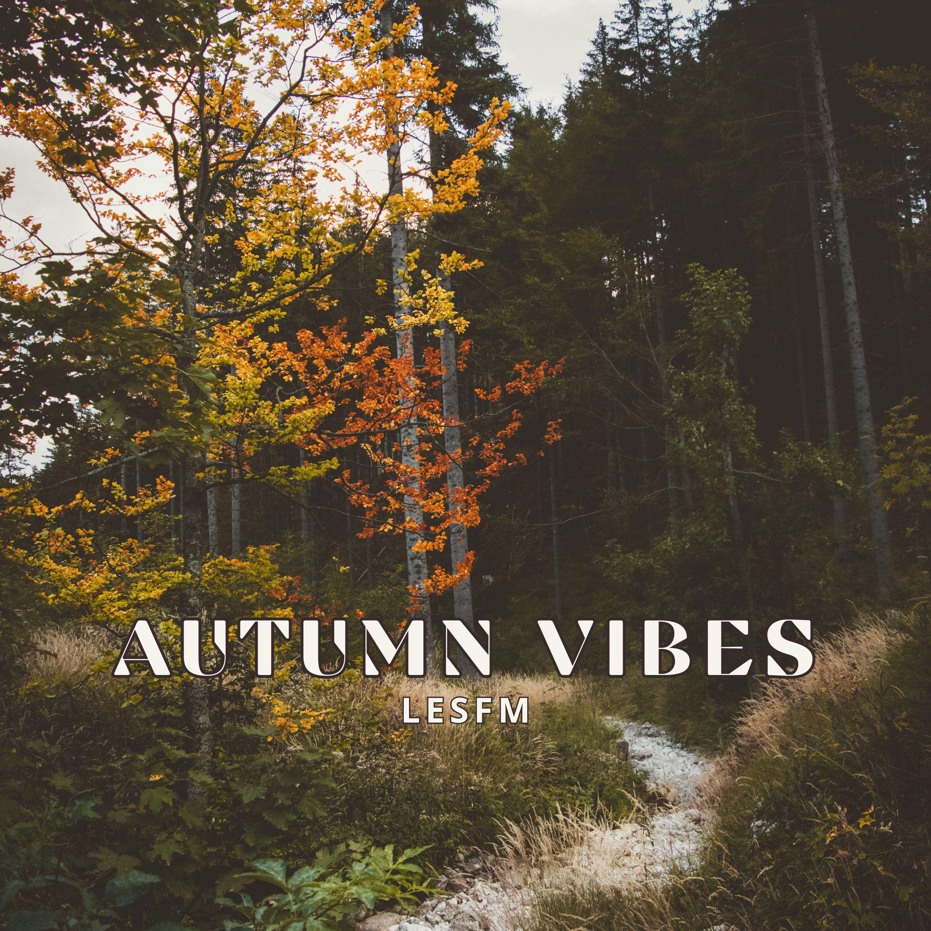 Релиз Autumn Vibes