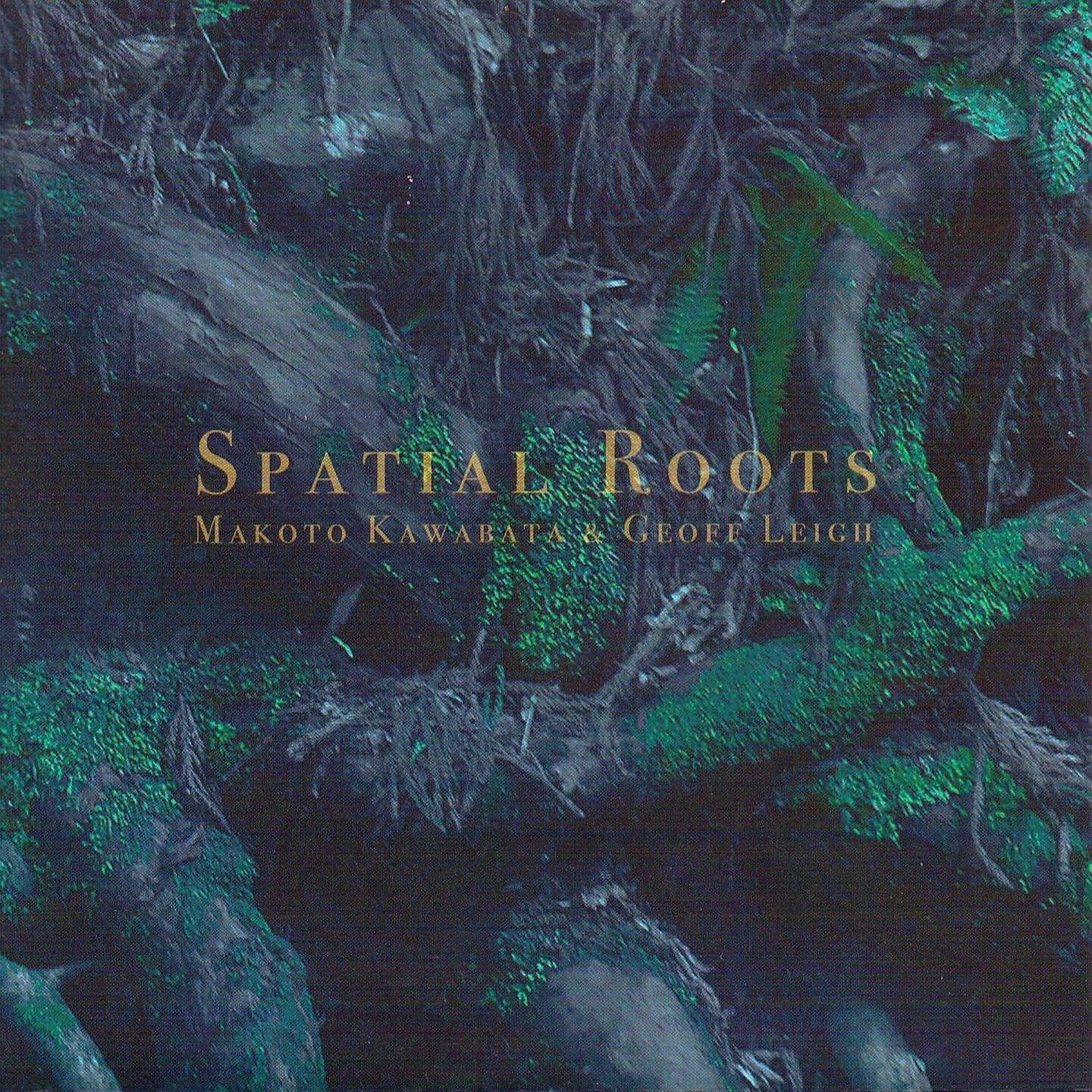 Релиз Spacial Roots