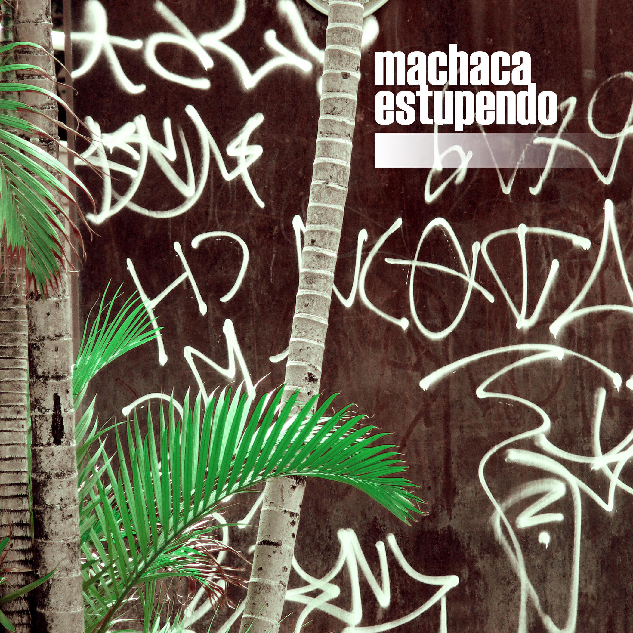 Релиз Machaca