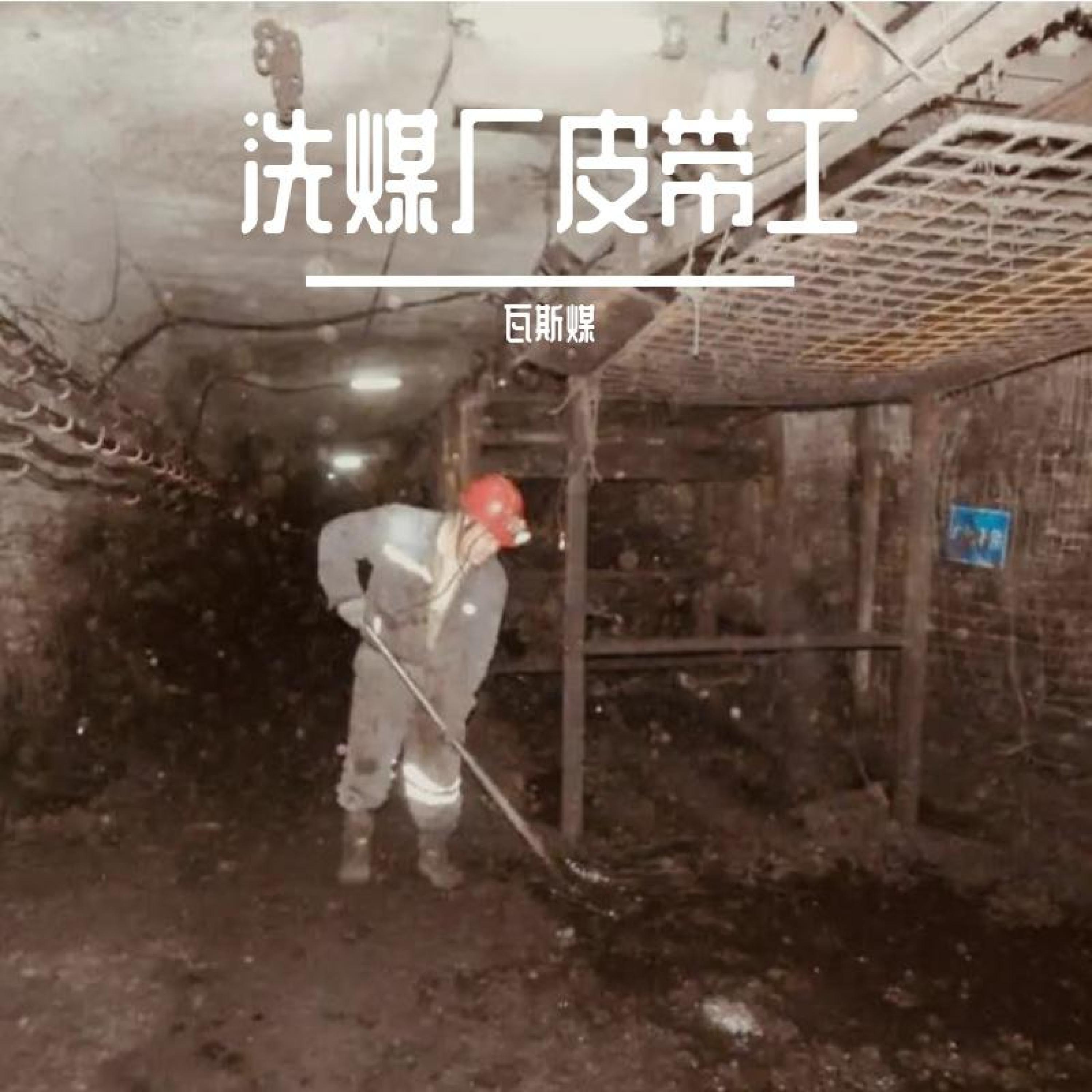 Релиз 洗煤厂皮带工