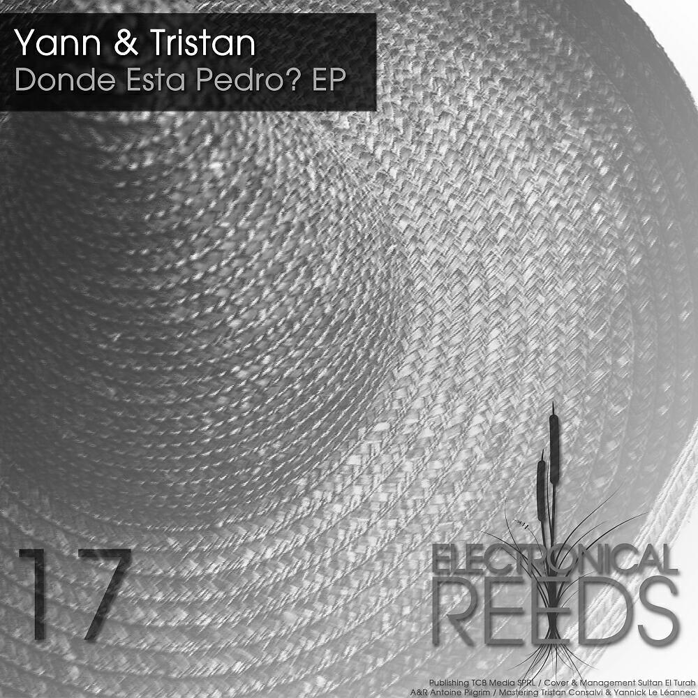 Скачать песню Yann, Tristan - Donde Esta Pedro? бесплатно в MP3 для Android и iOS