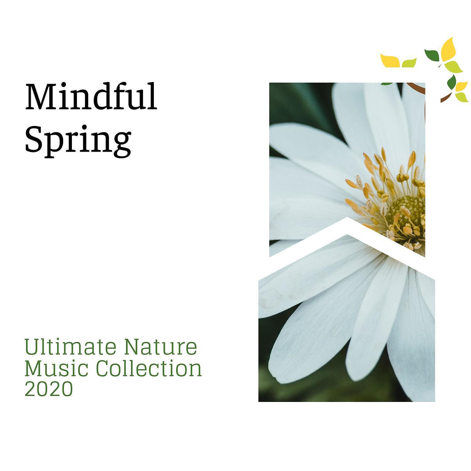 Релиз Mindful Spring - Ultimate Nature Music Collection 2020