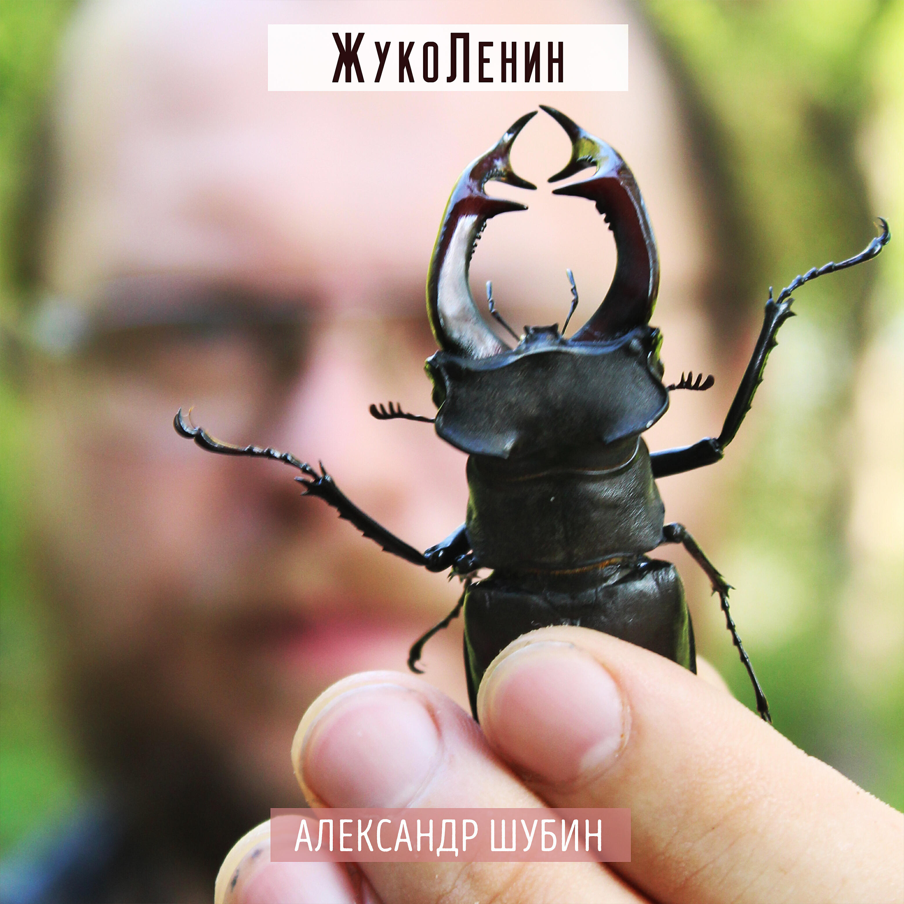 Релиз Жуколенин