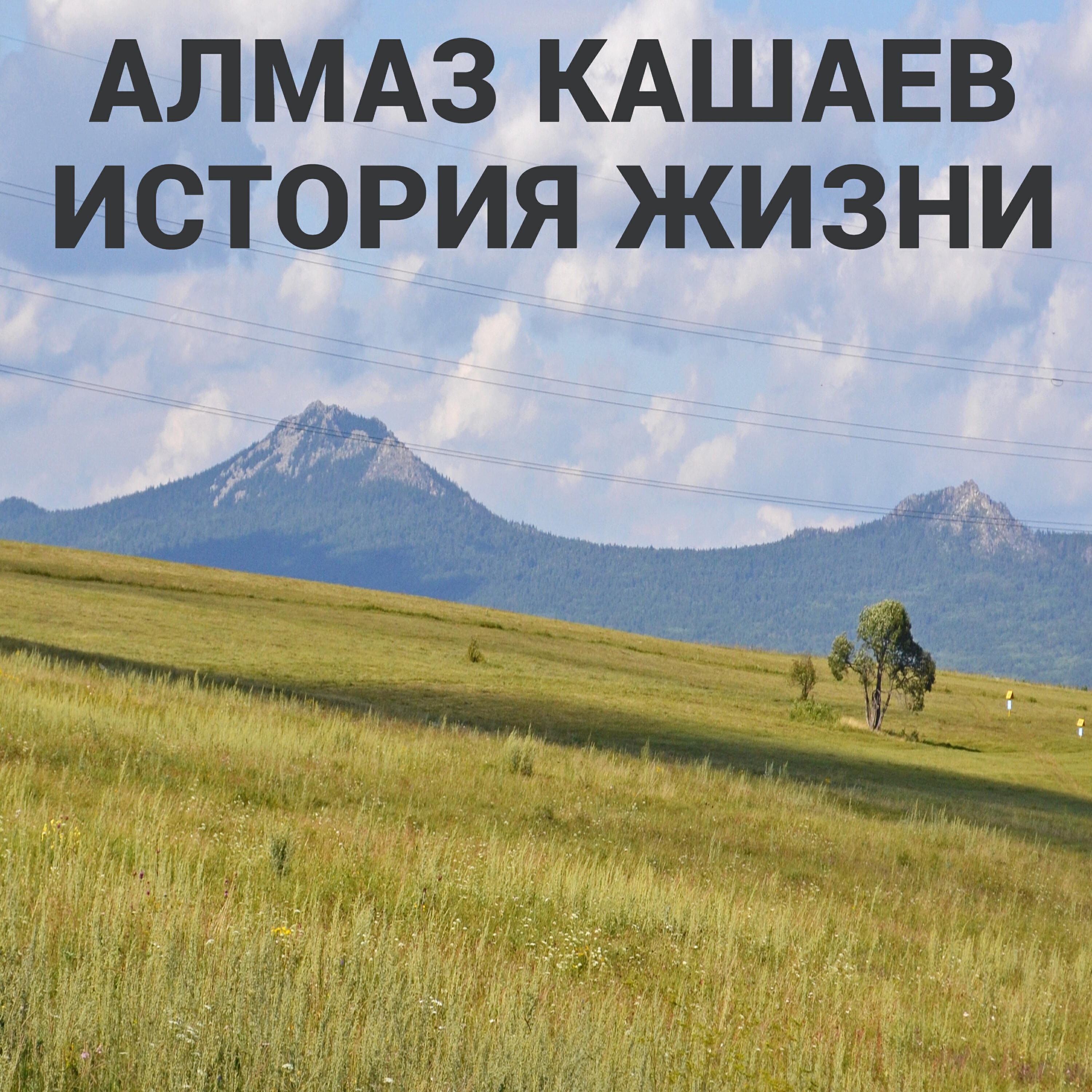 Релиз История жизни