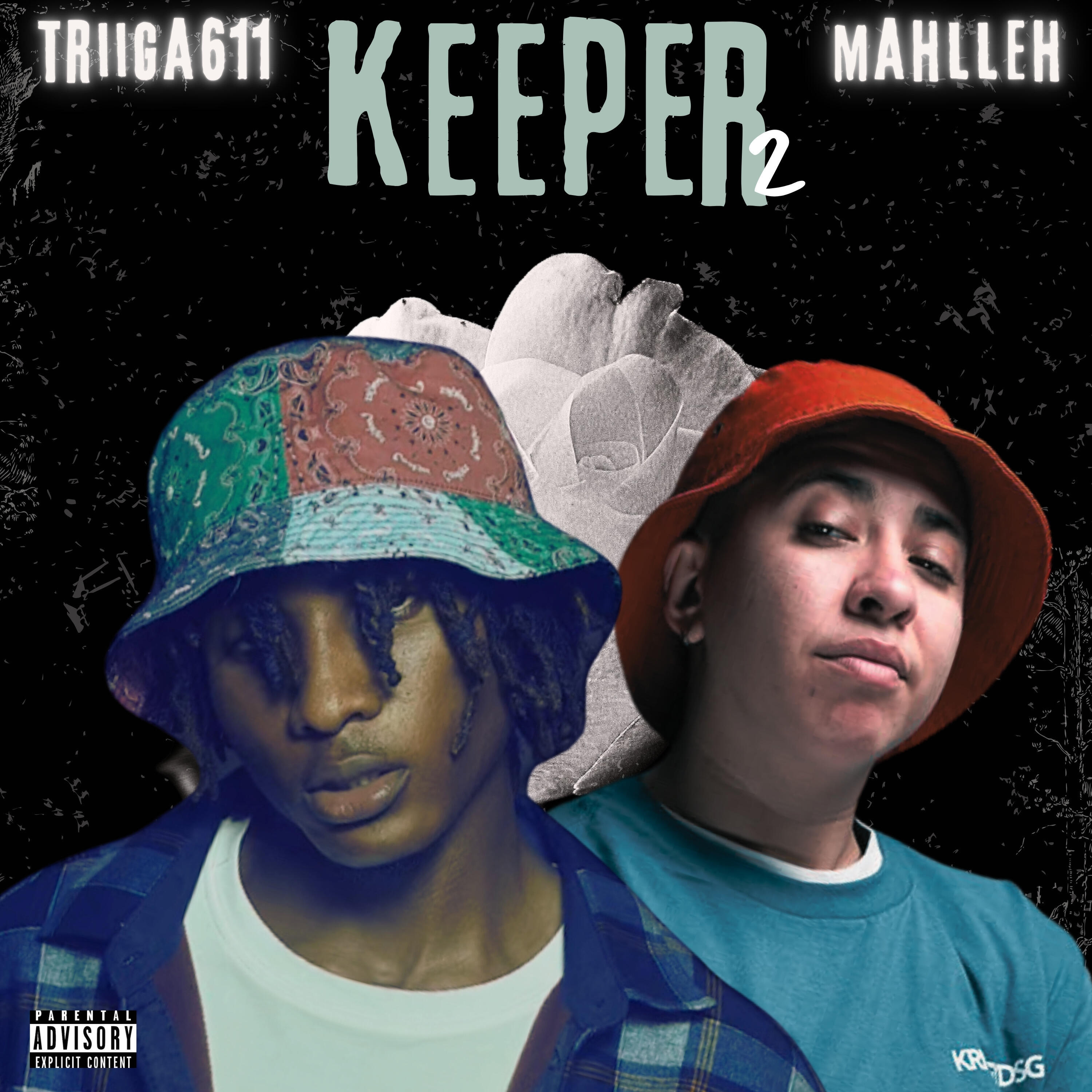 Triiga611
