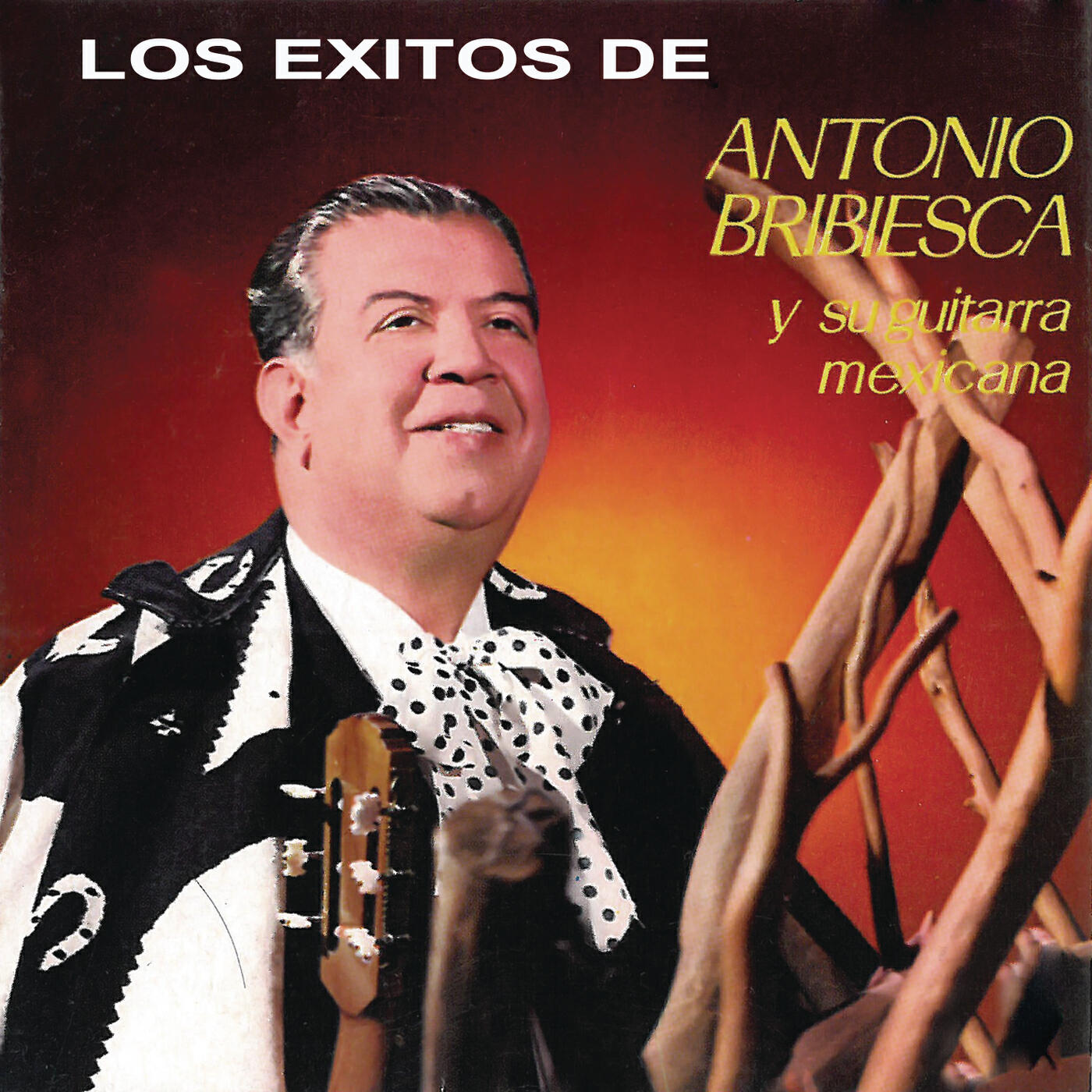 Постер альбома Los Éxitos de Antonio Bribiesca Y su Guitarra Mexicana
