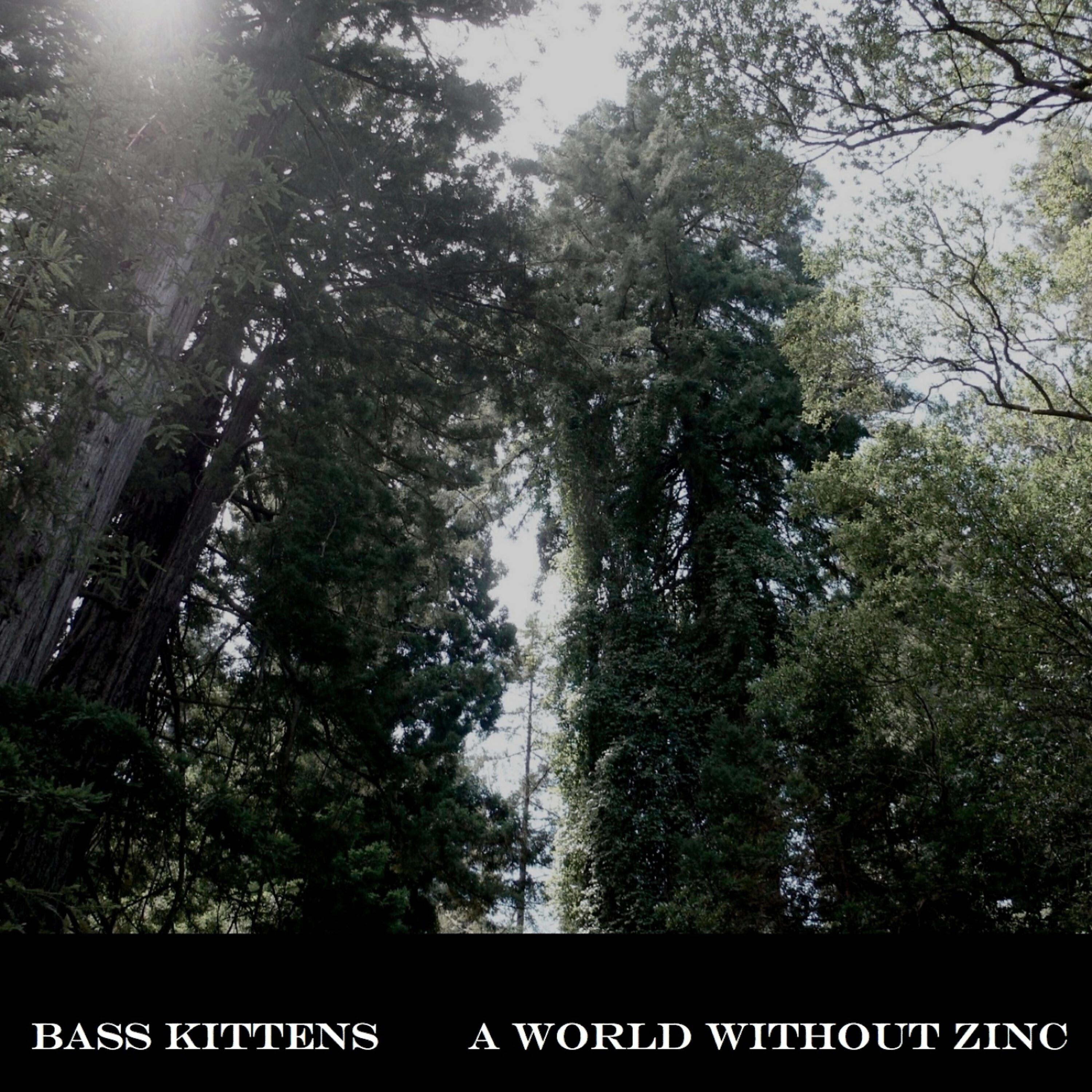 Релиз A World Without Zinc