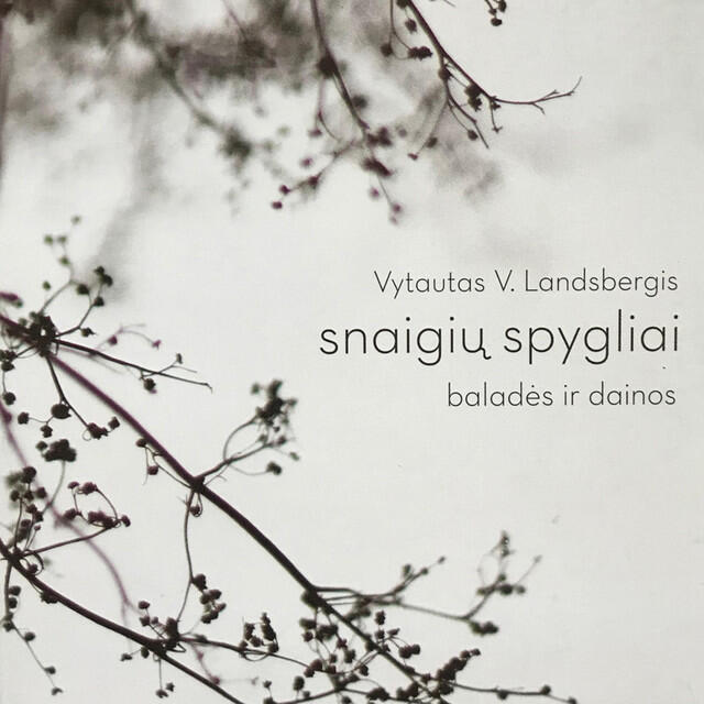 Релиз Snaigių spygliai