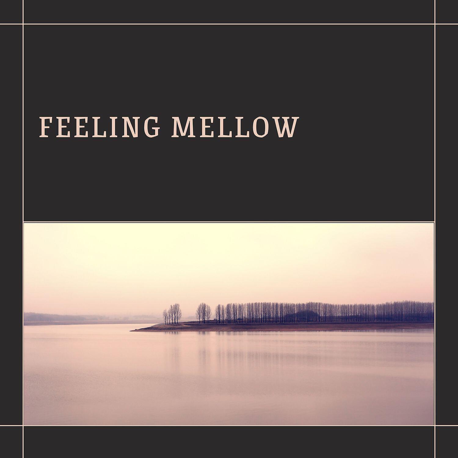Релиз Cheerful Instrumental for Feeling Mellow