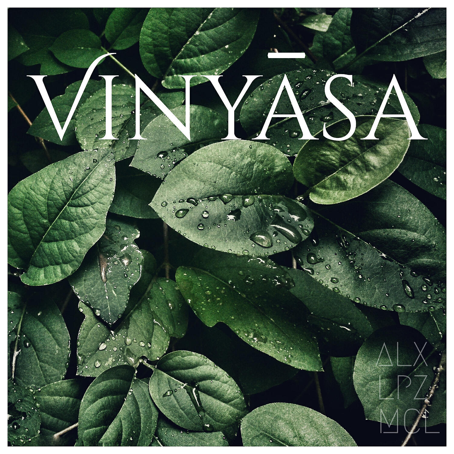 Постер альбома Vinyasa