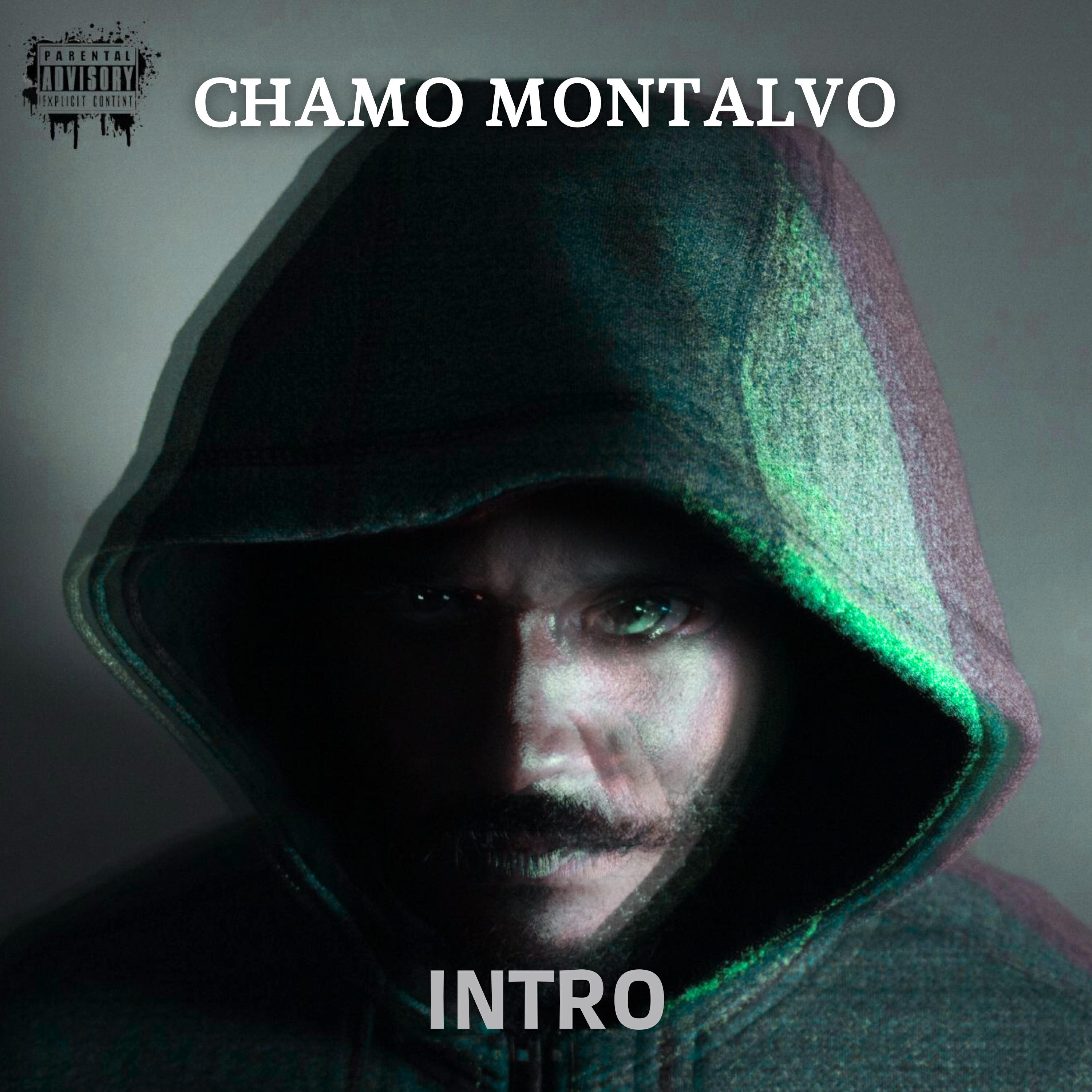 Релиз Intro