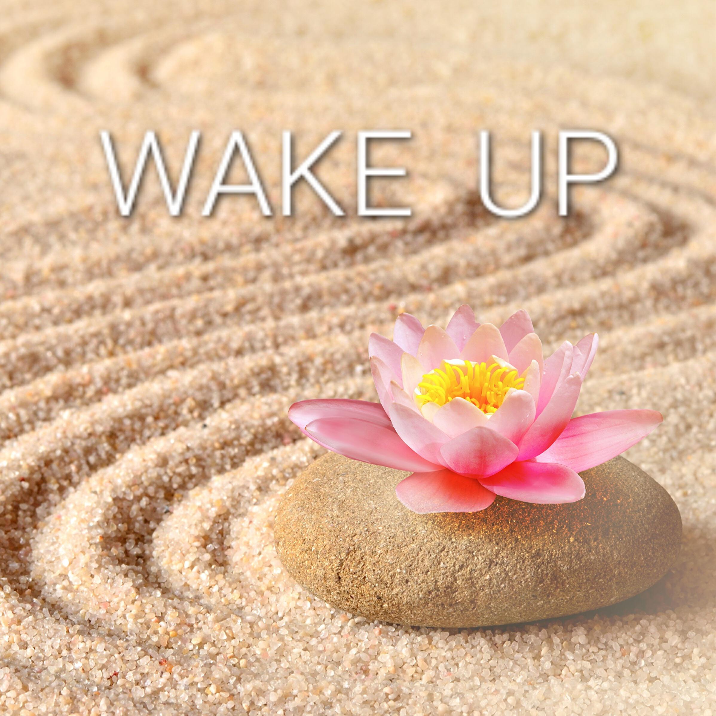 Релиз Wake Up